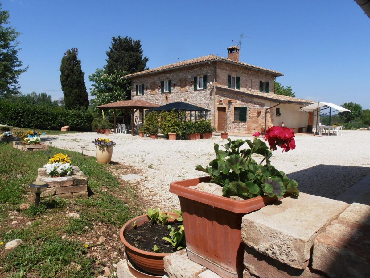 Agriturismo Rustichino view 2