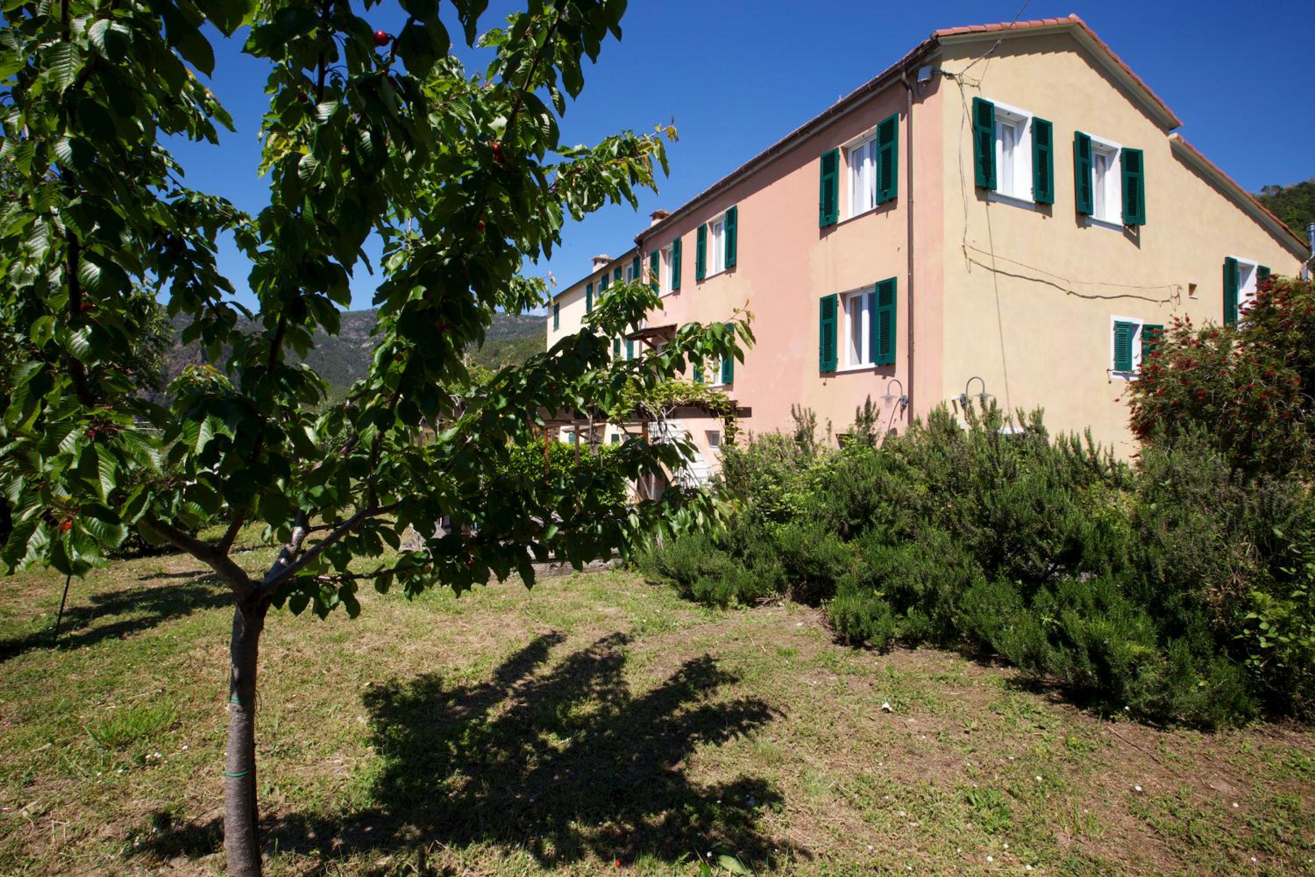 Photo 47