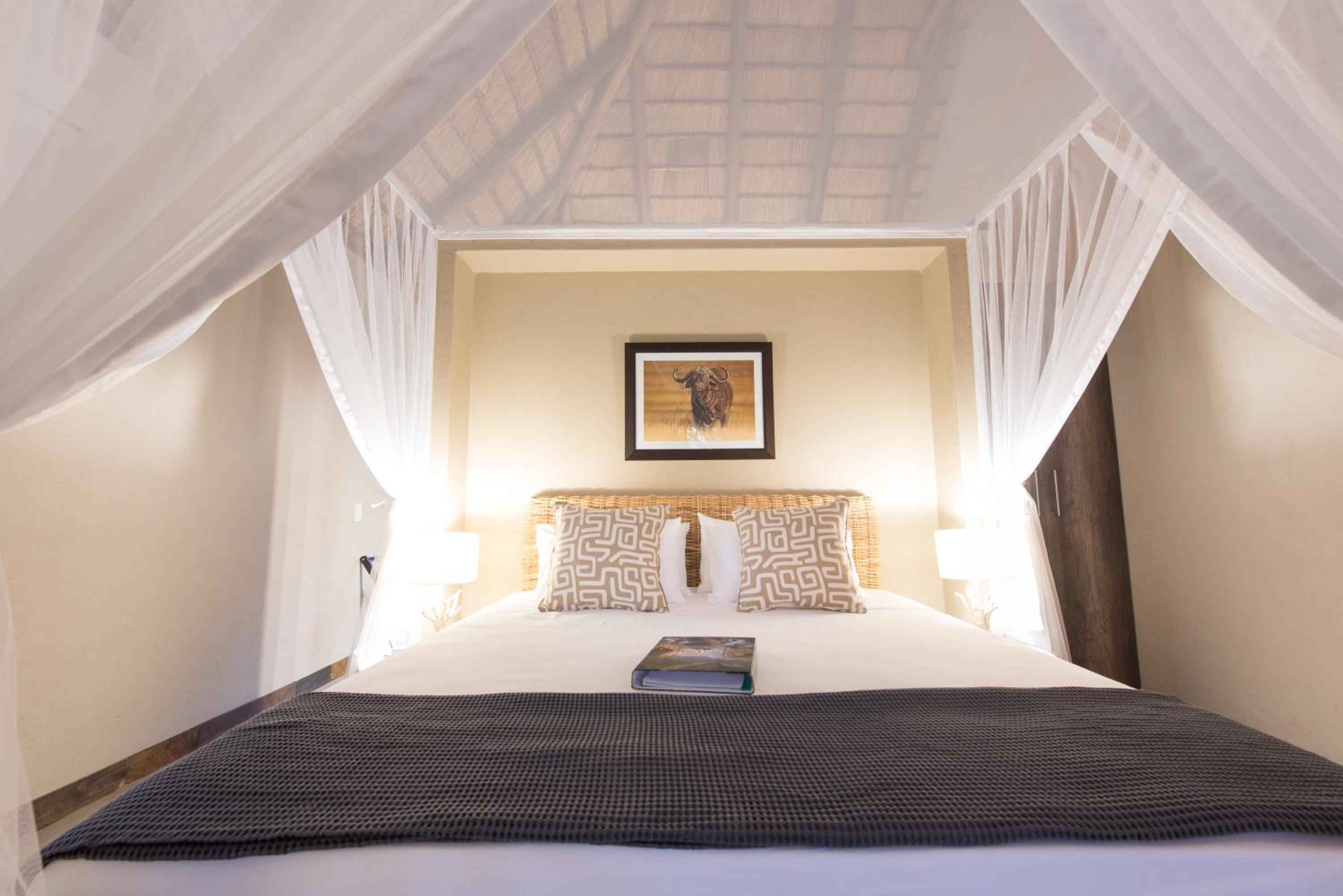 Bushbaby River Lodge