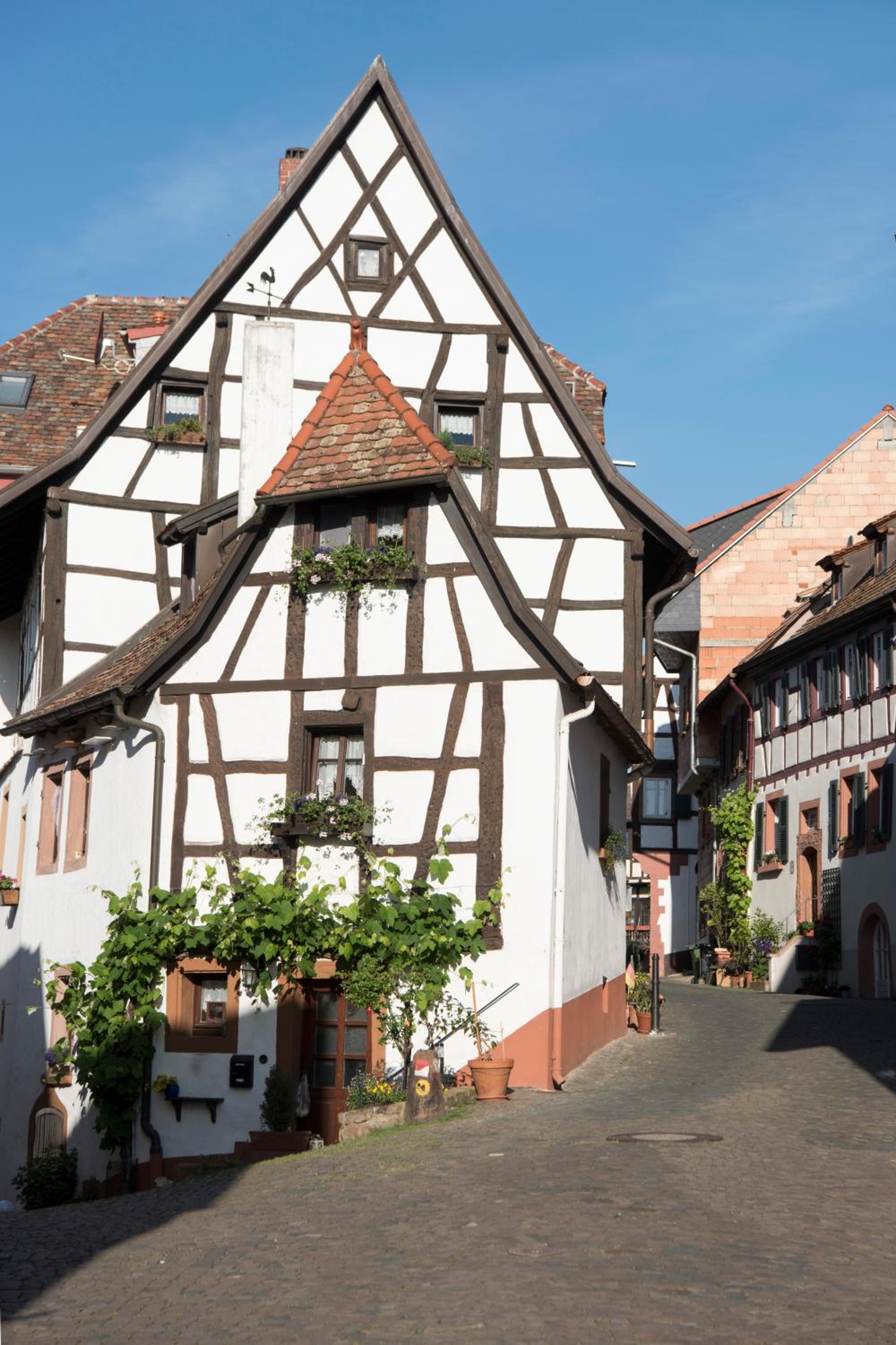 Burggarten Appartements Neuleiningen