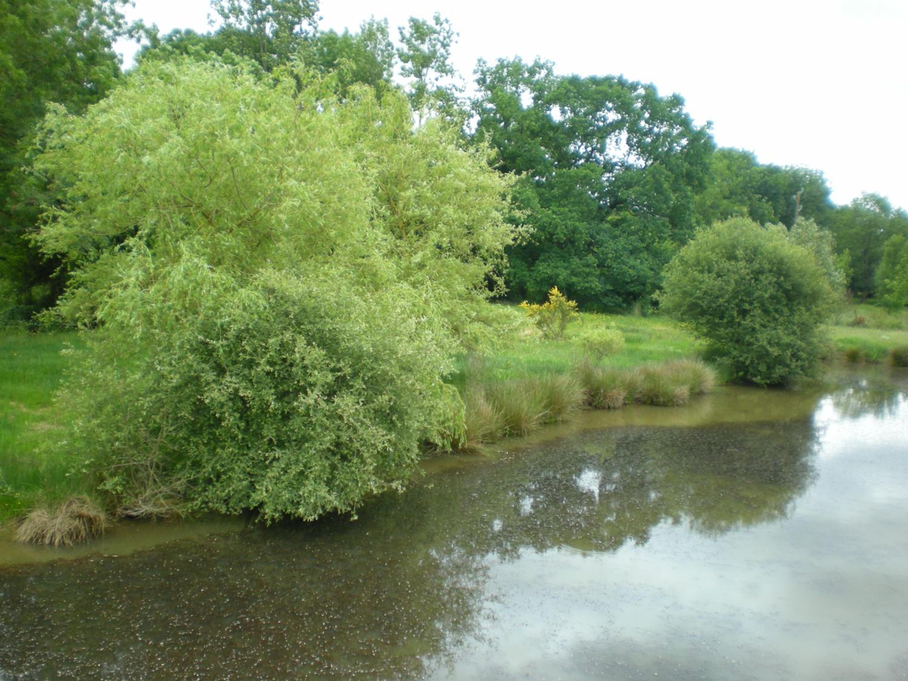 Photo 18