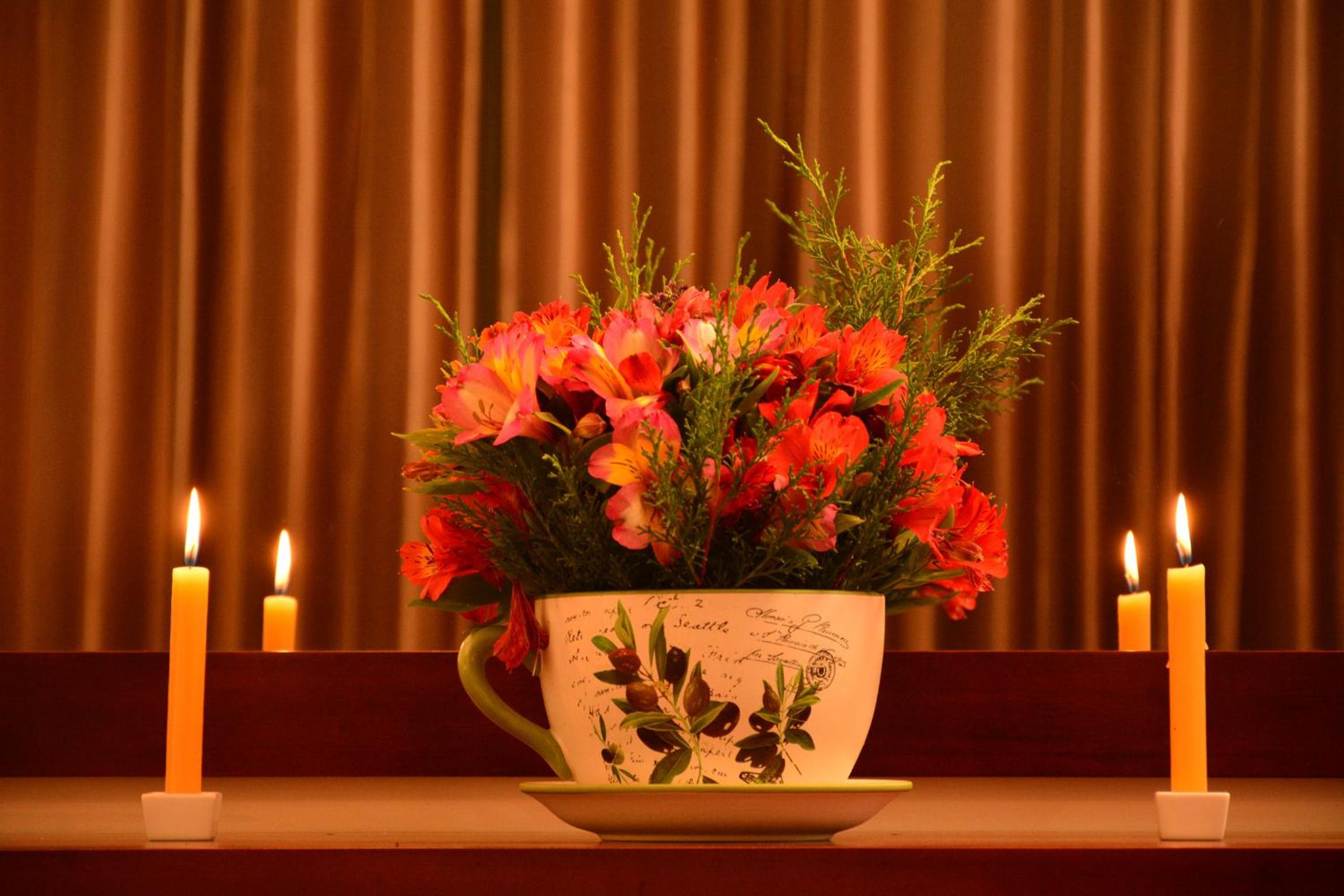 Photo 44