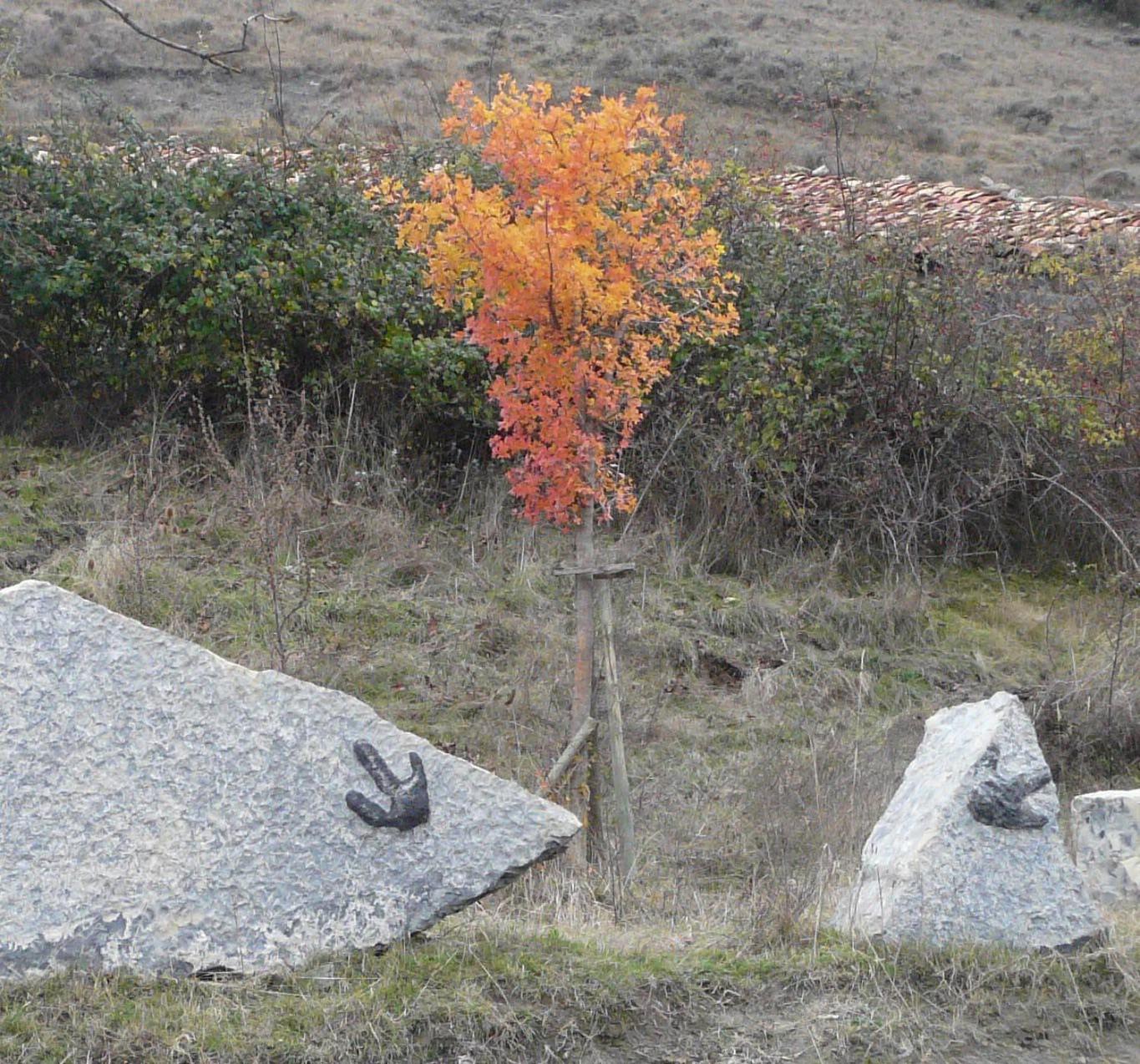 La Colmena