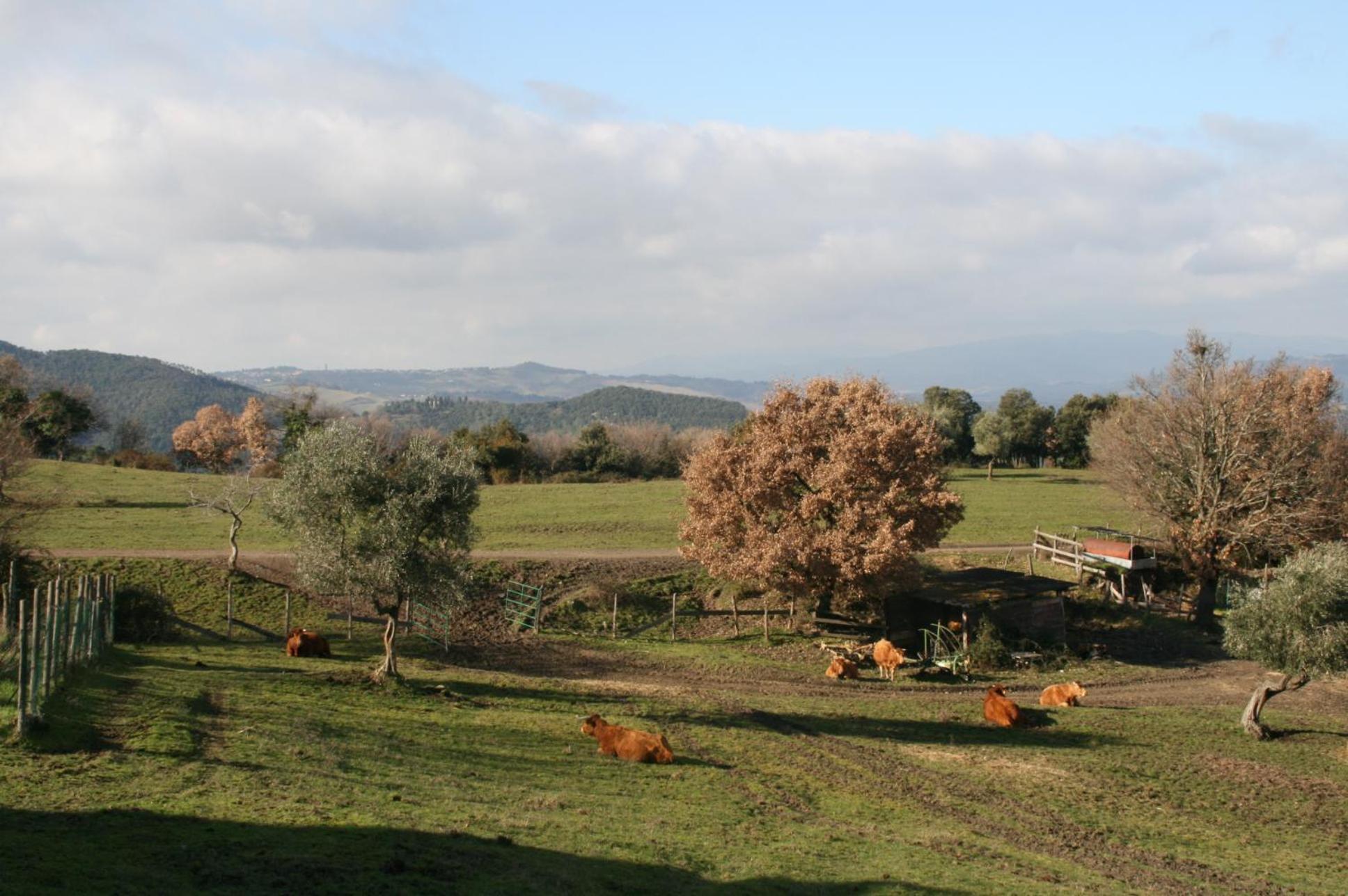 Farmhouse Tuscany