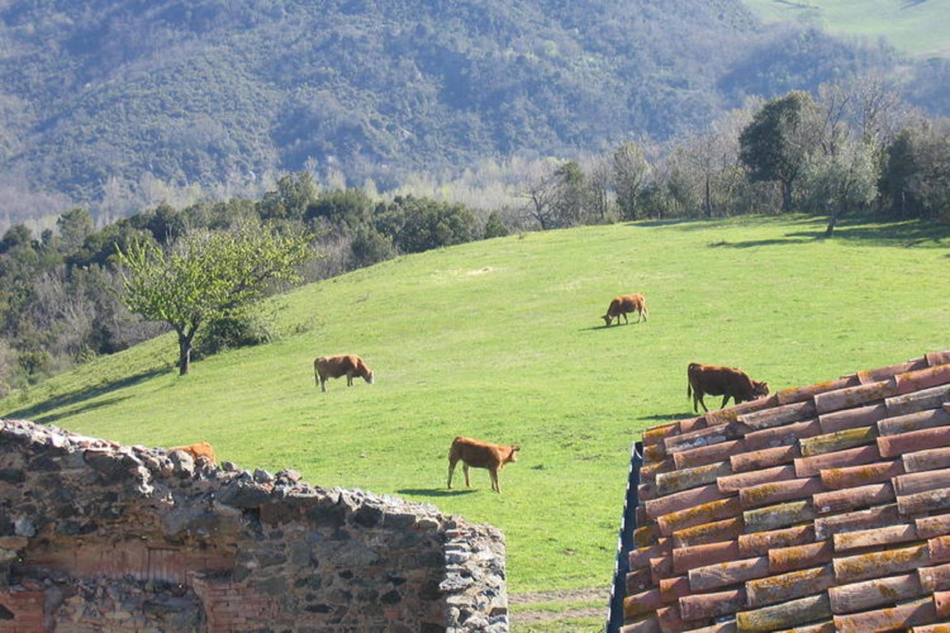 Farmhouse Tuscany