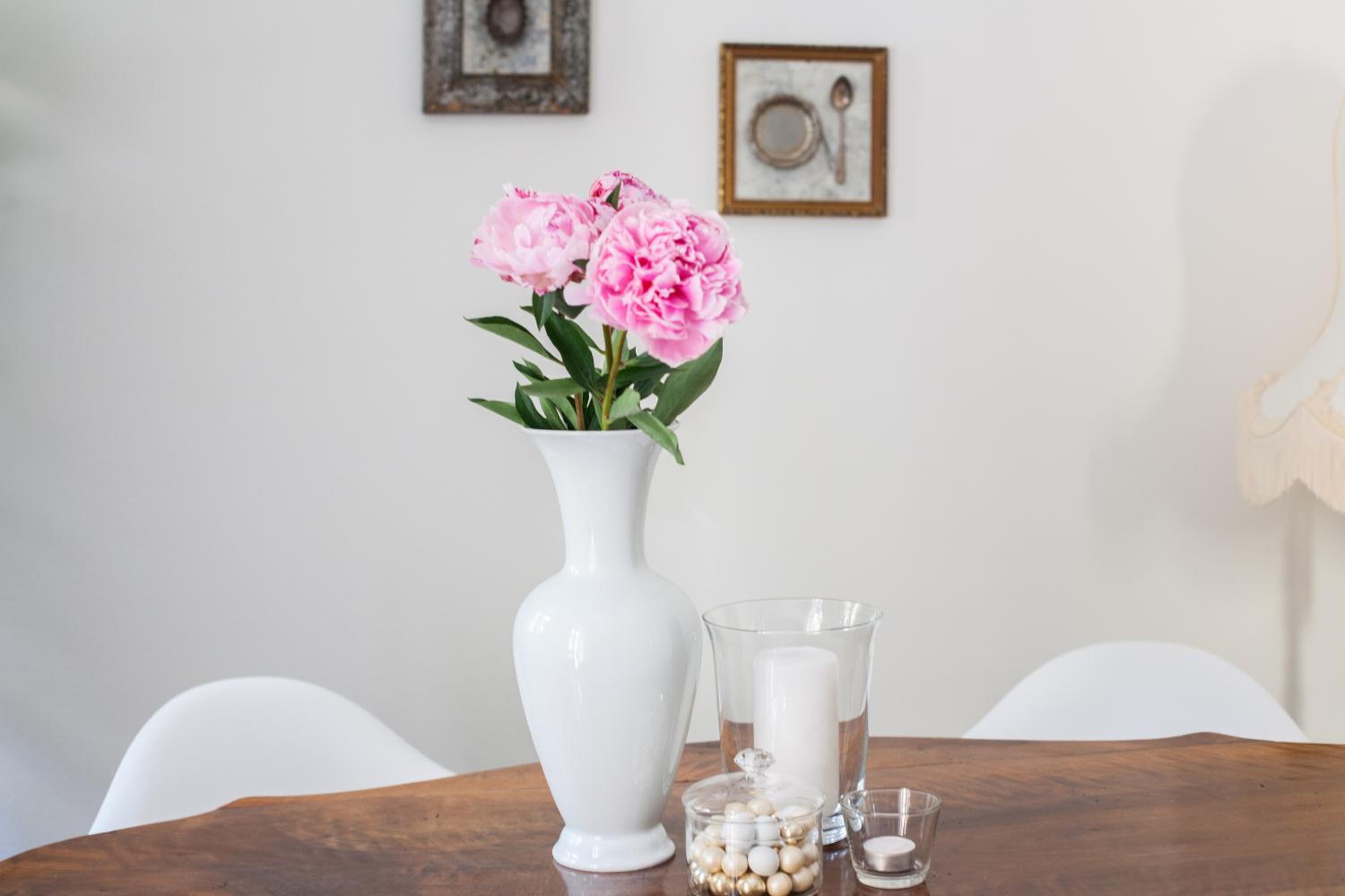 Alessia's Place