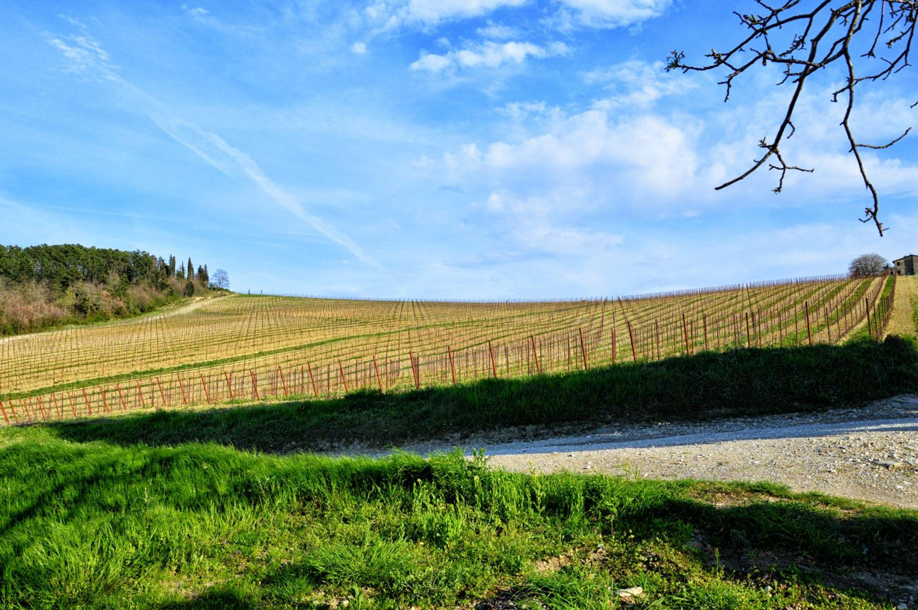 other