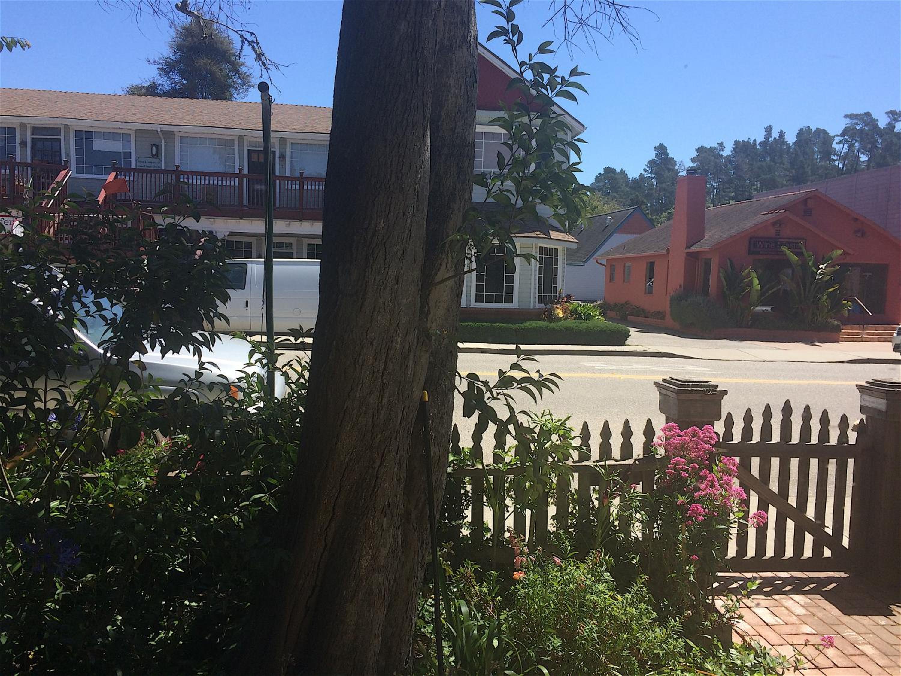 The Squibb Houses