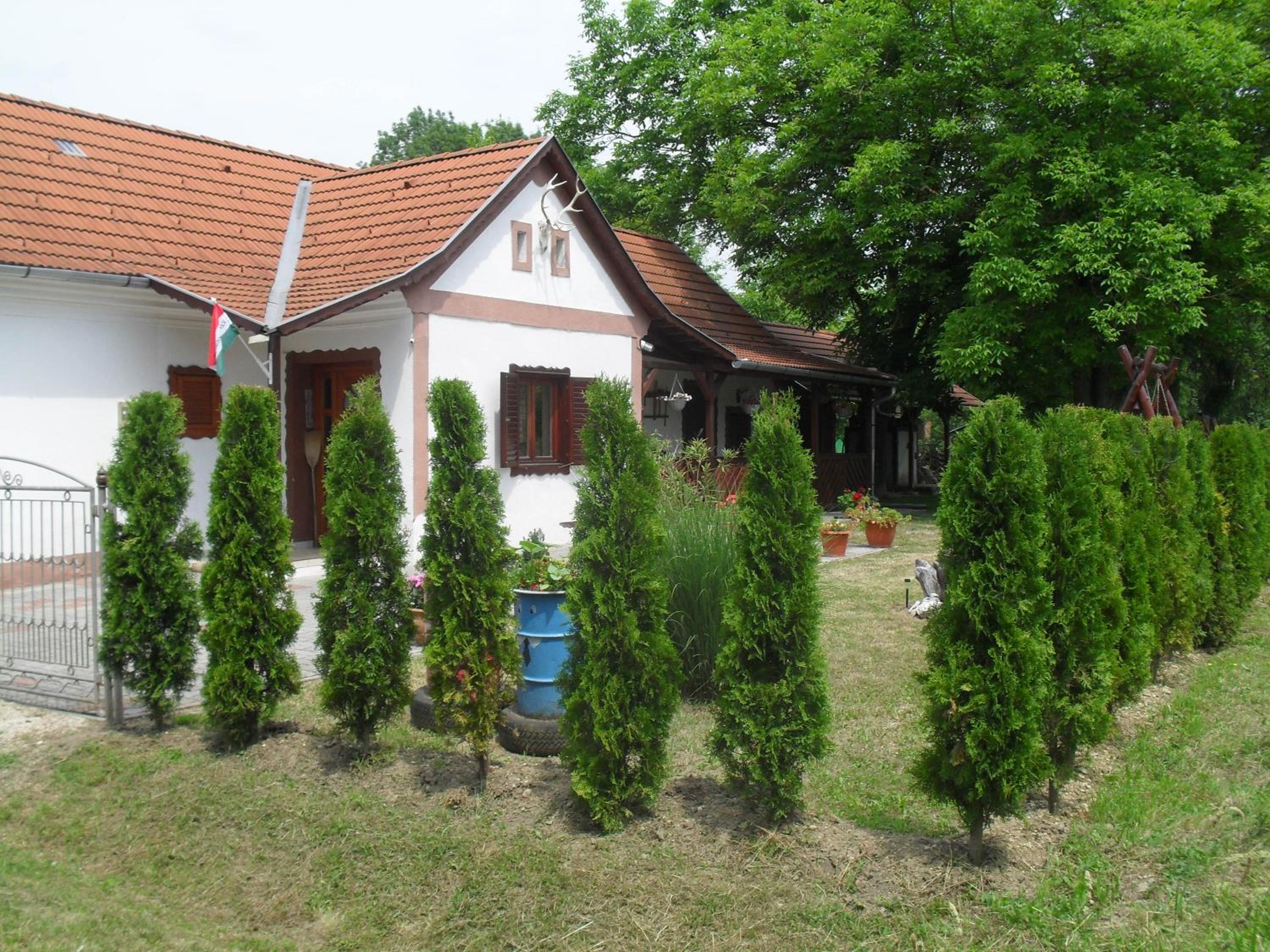 Photo 9