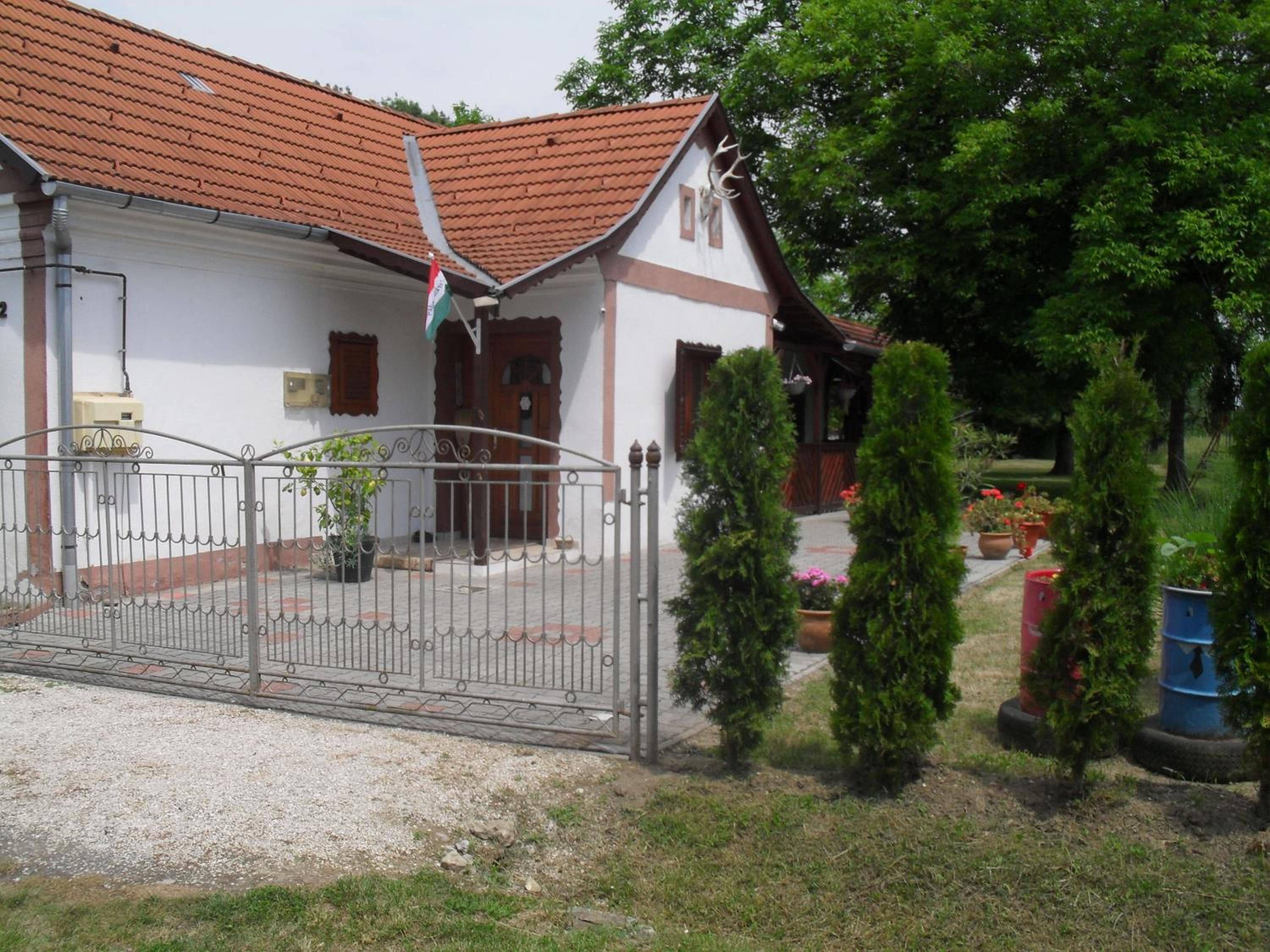 Photo 11