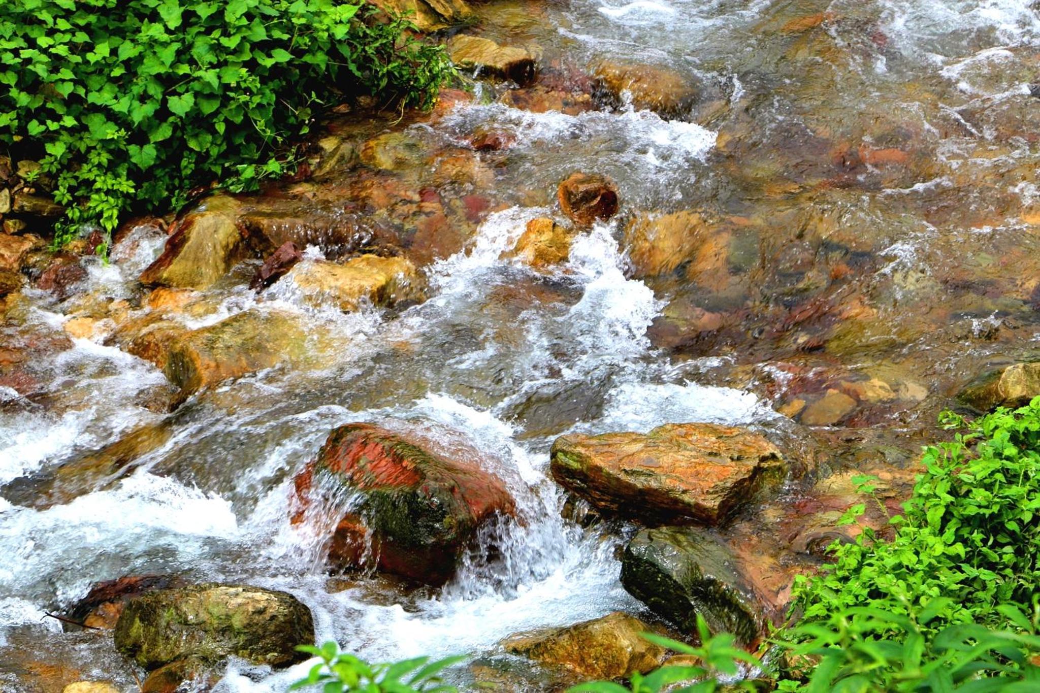 Tongfu Inn(In the National Park)