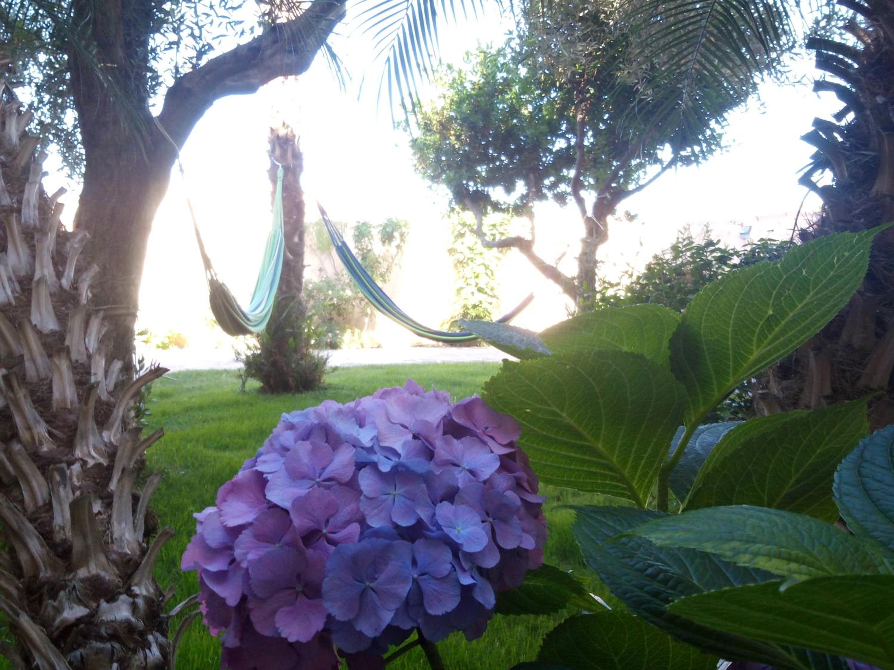 Nora Guesthouse Rooms and Villas view 5