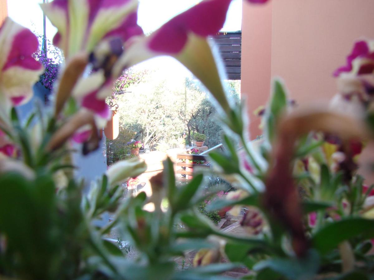 Photo 107