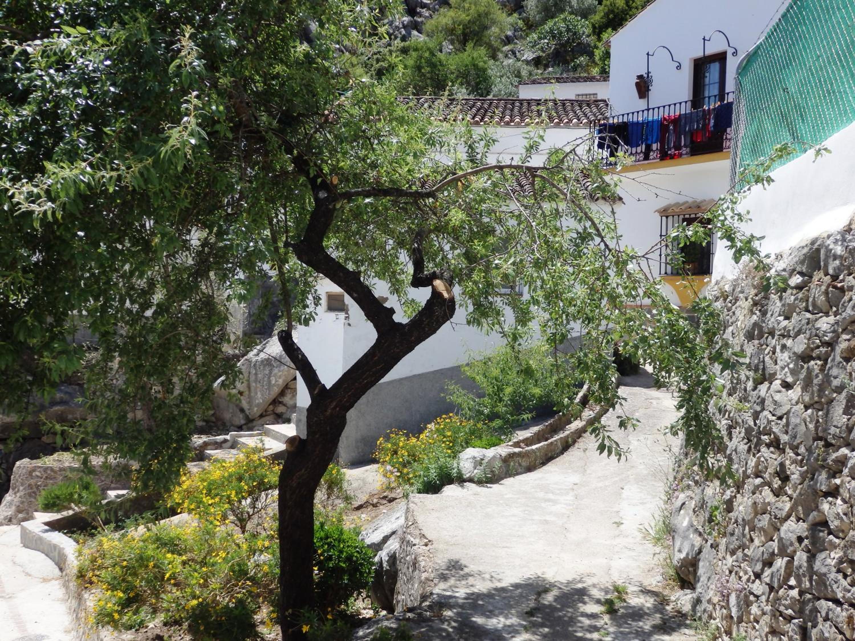 Posada del Fresno
