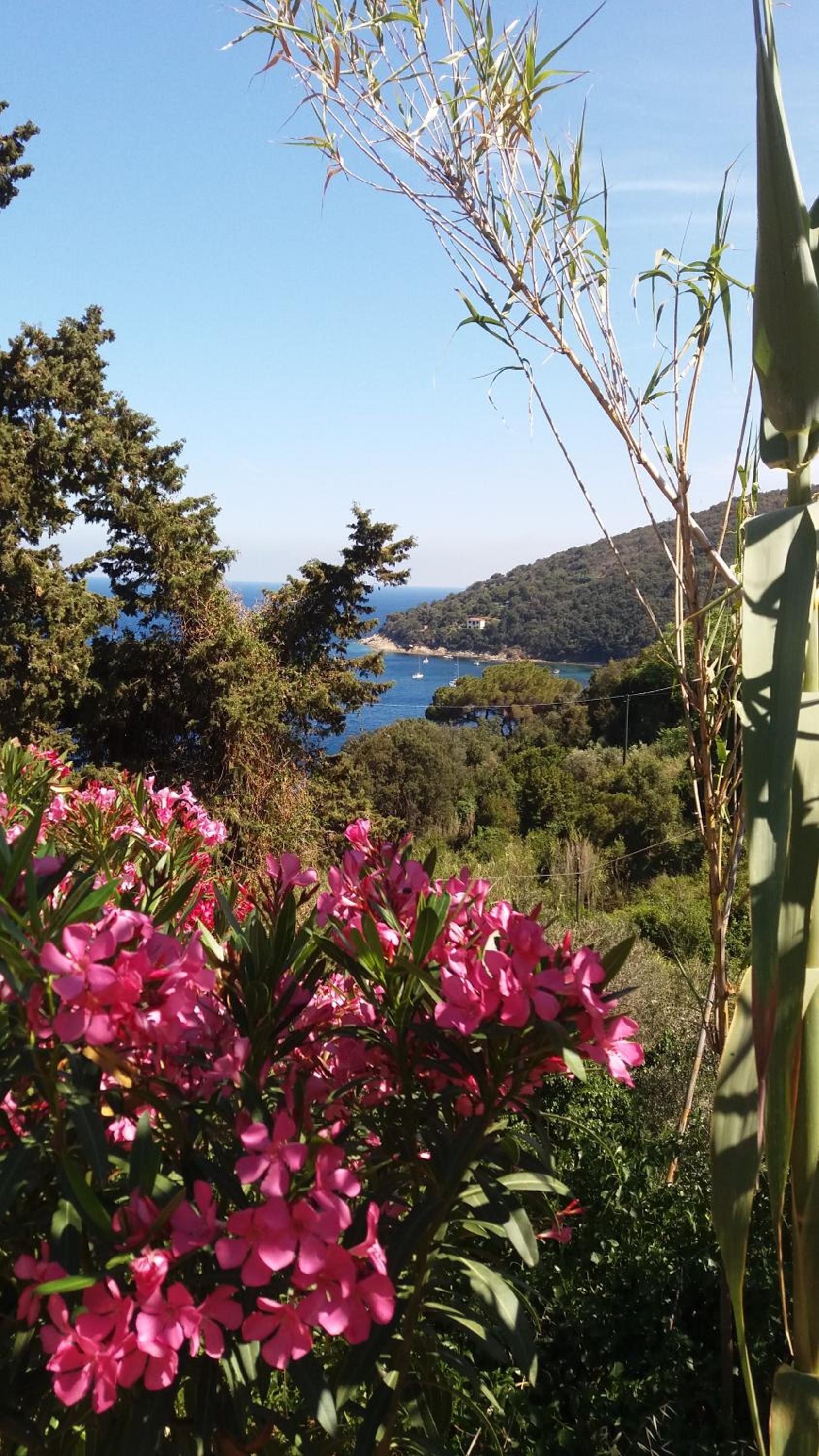 Berenice - Isola D'Elba Apartments