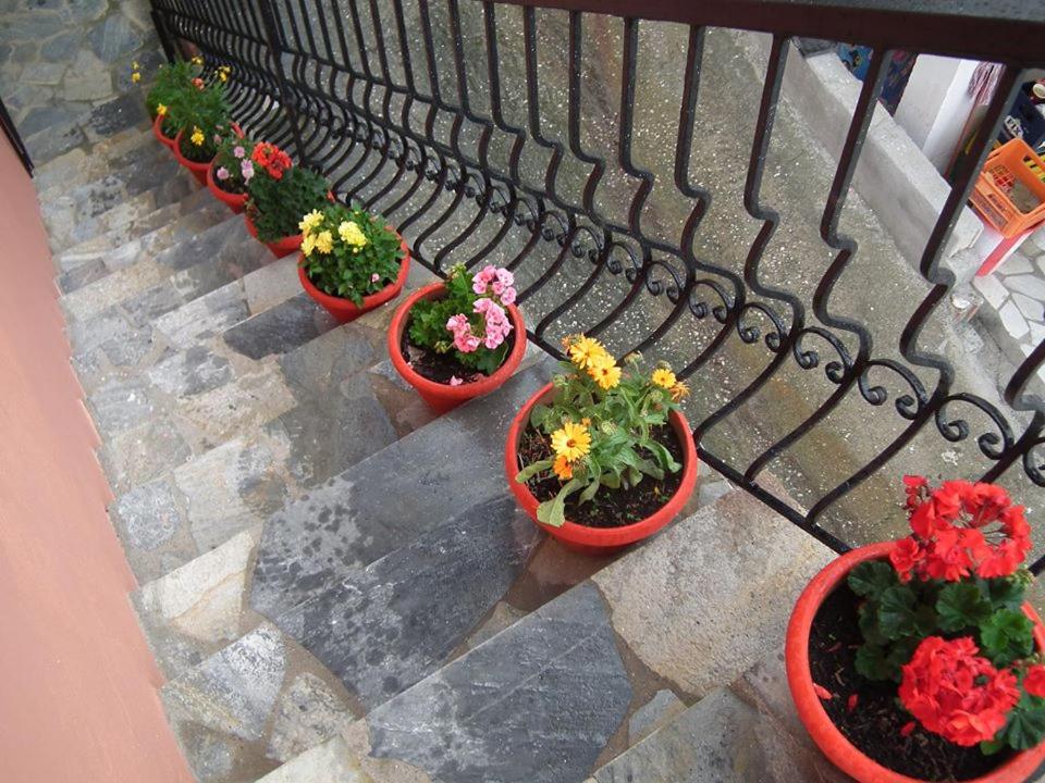 Photo 28