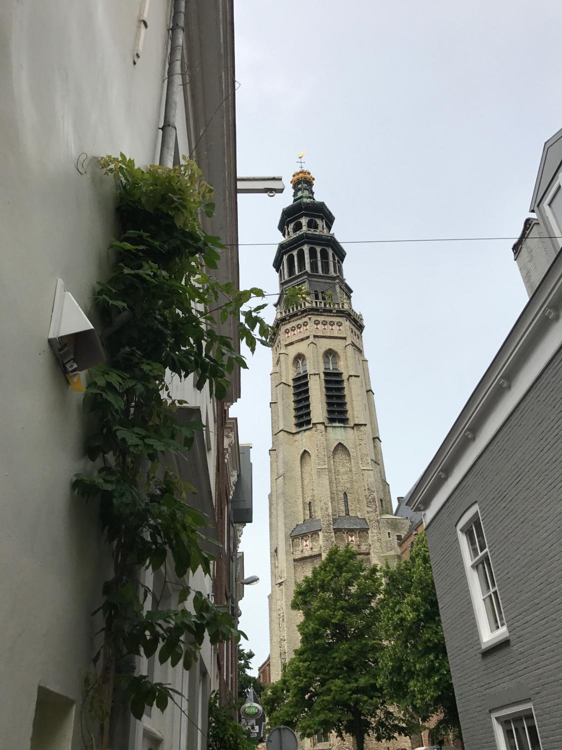 Photo 32