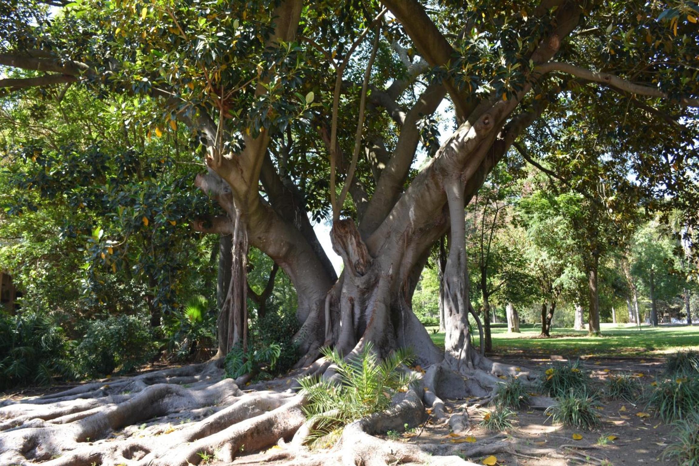 Photo 42