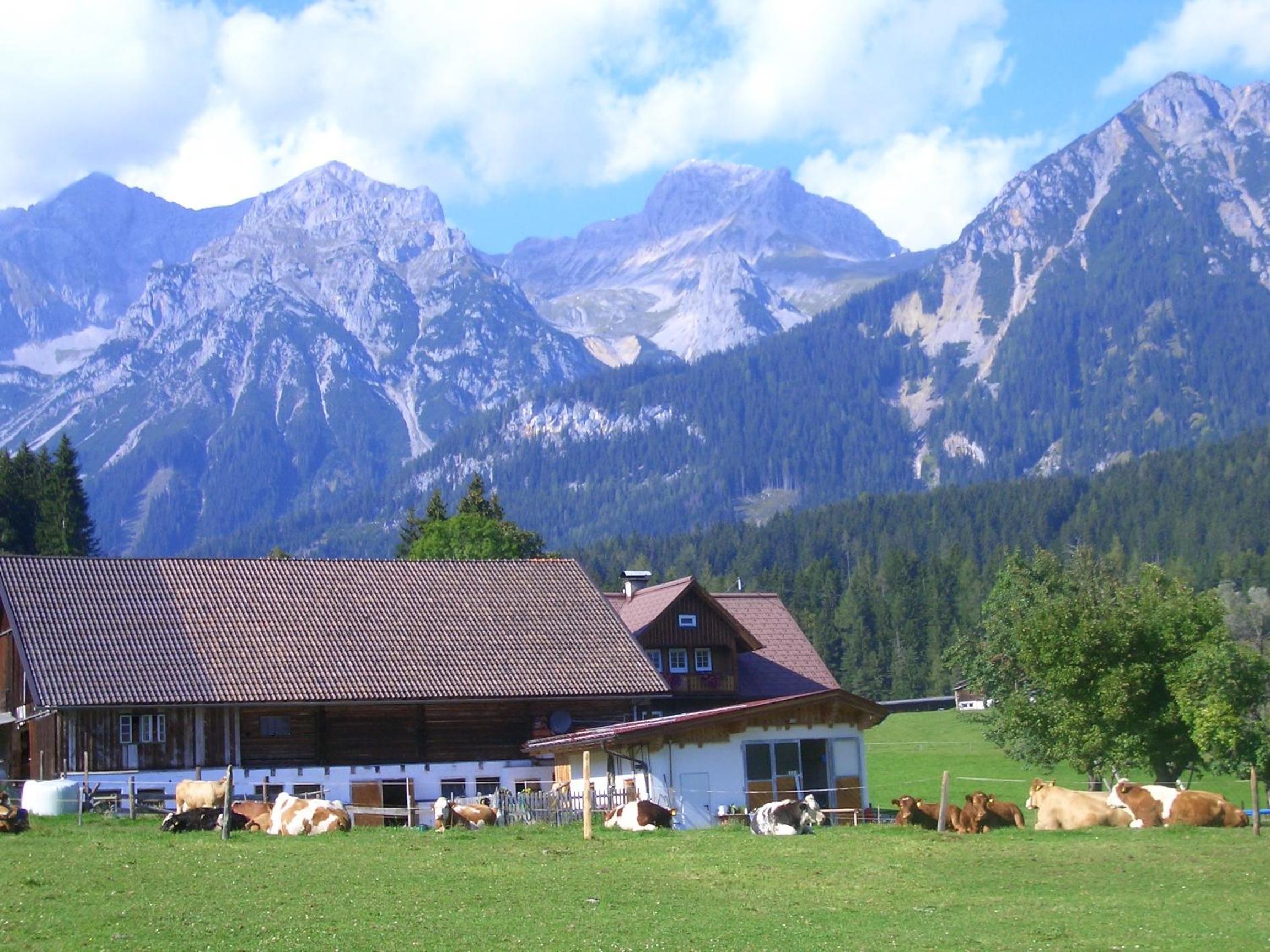 Haslehnerhof