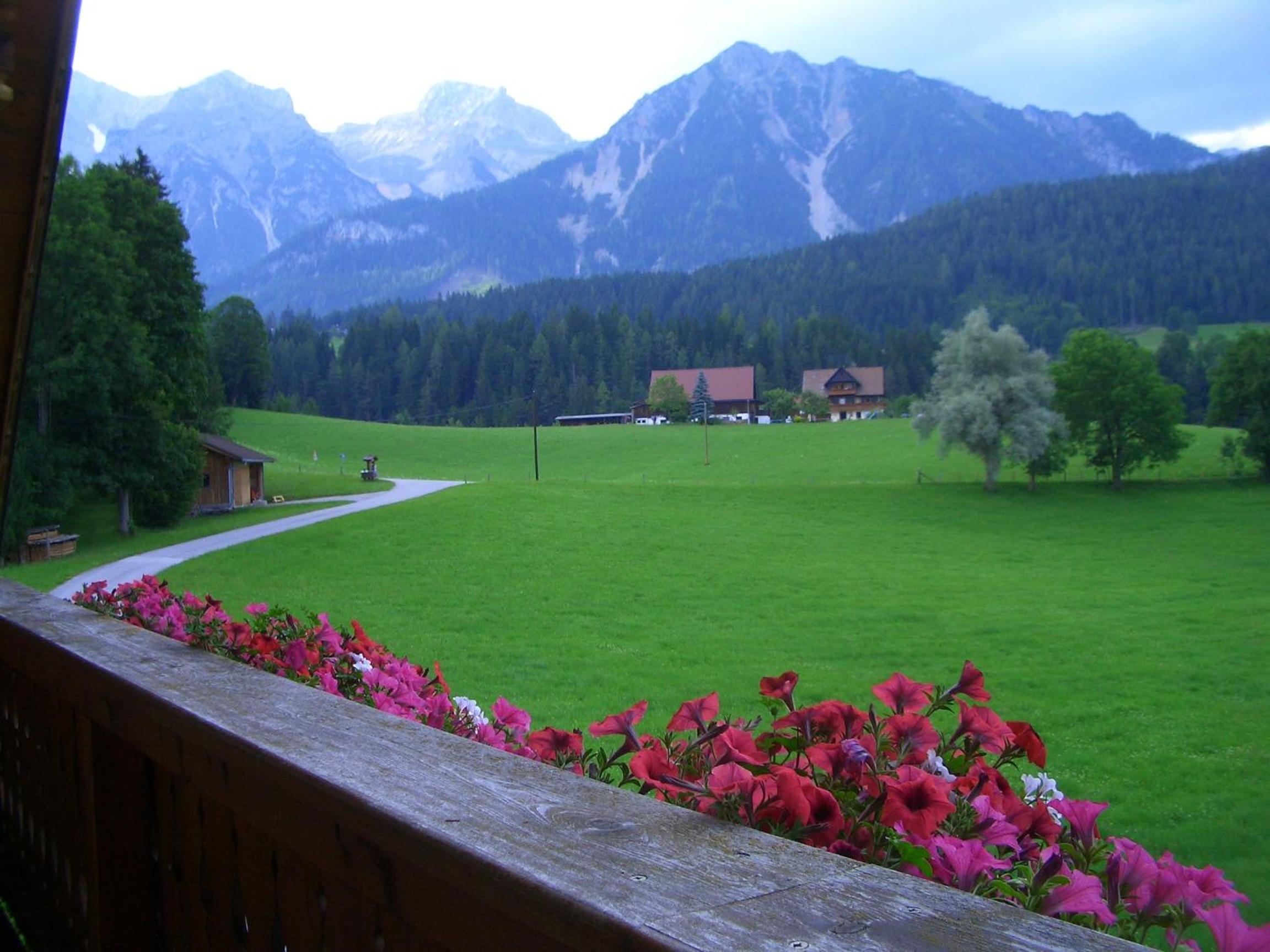 Haslehnerhof