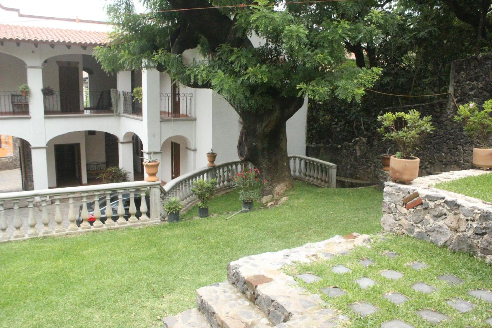 Photo 43