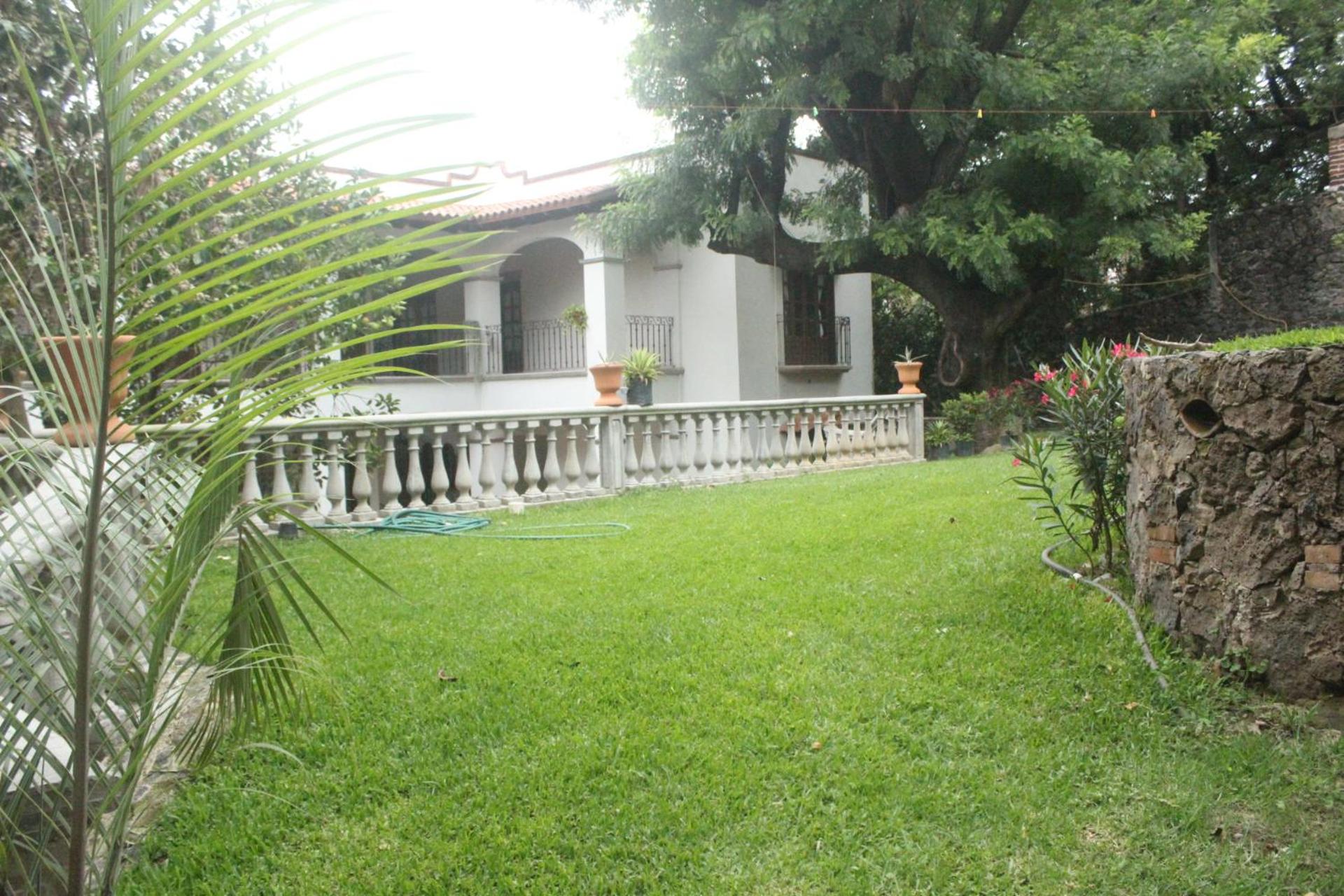 Photo 46