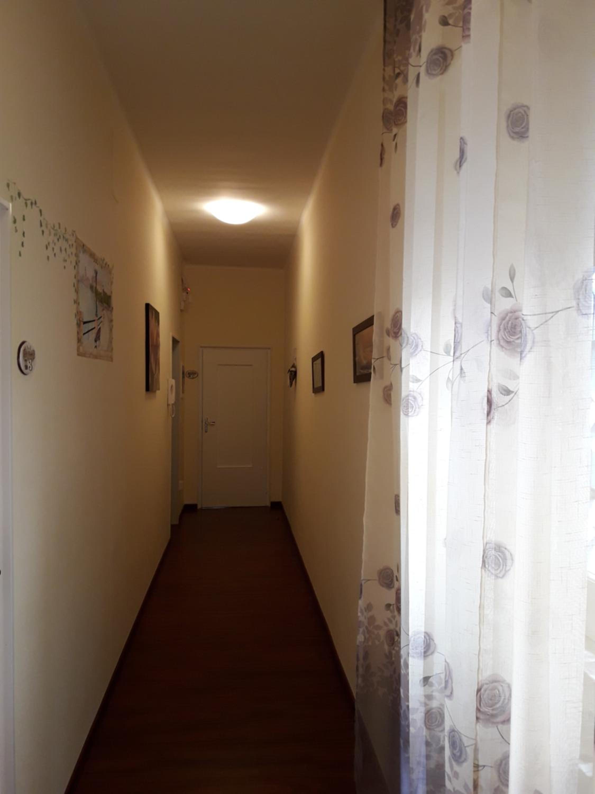 Photo 51