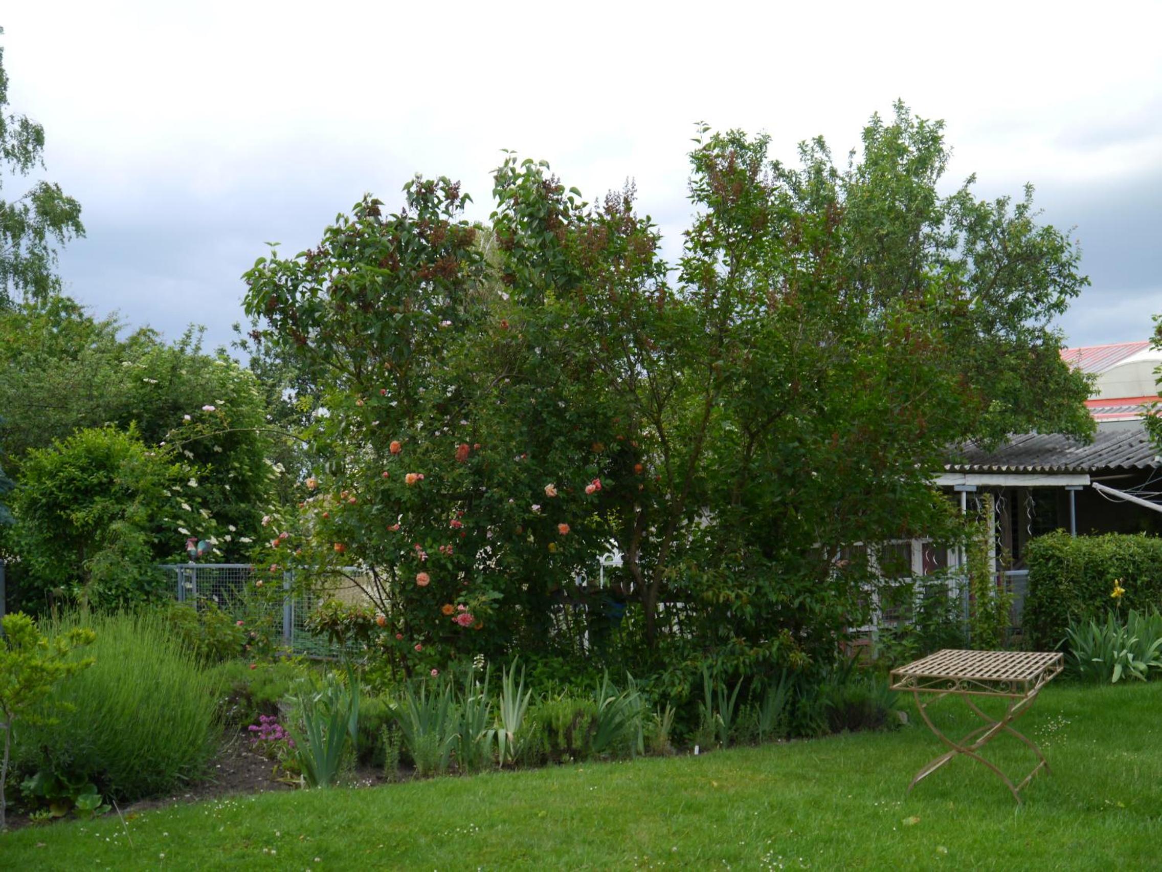 Photo 47