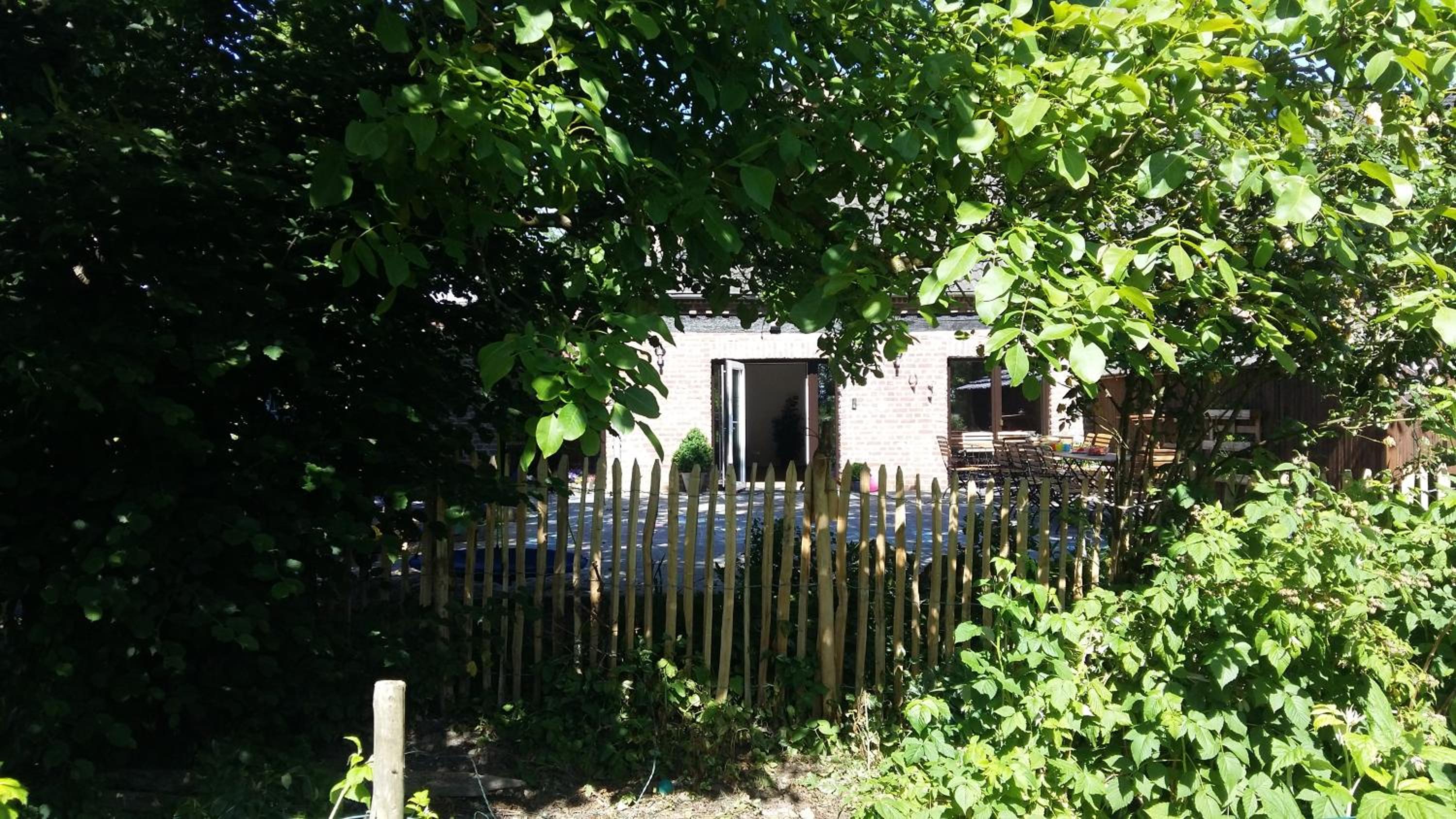 Photo 49