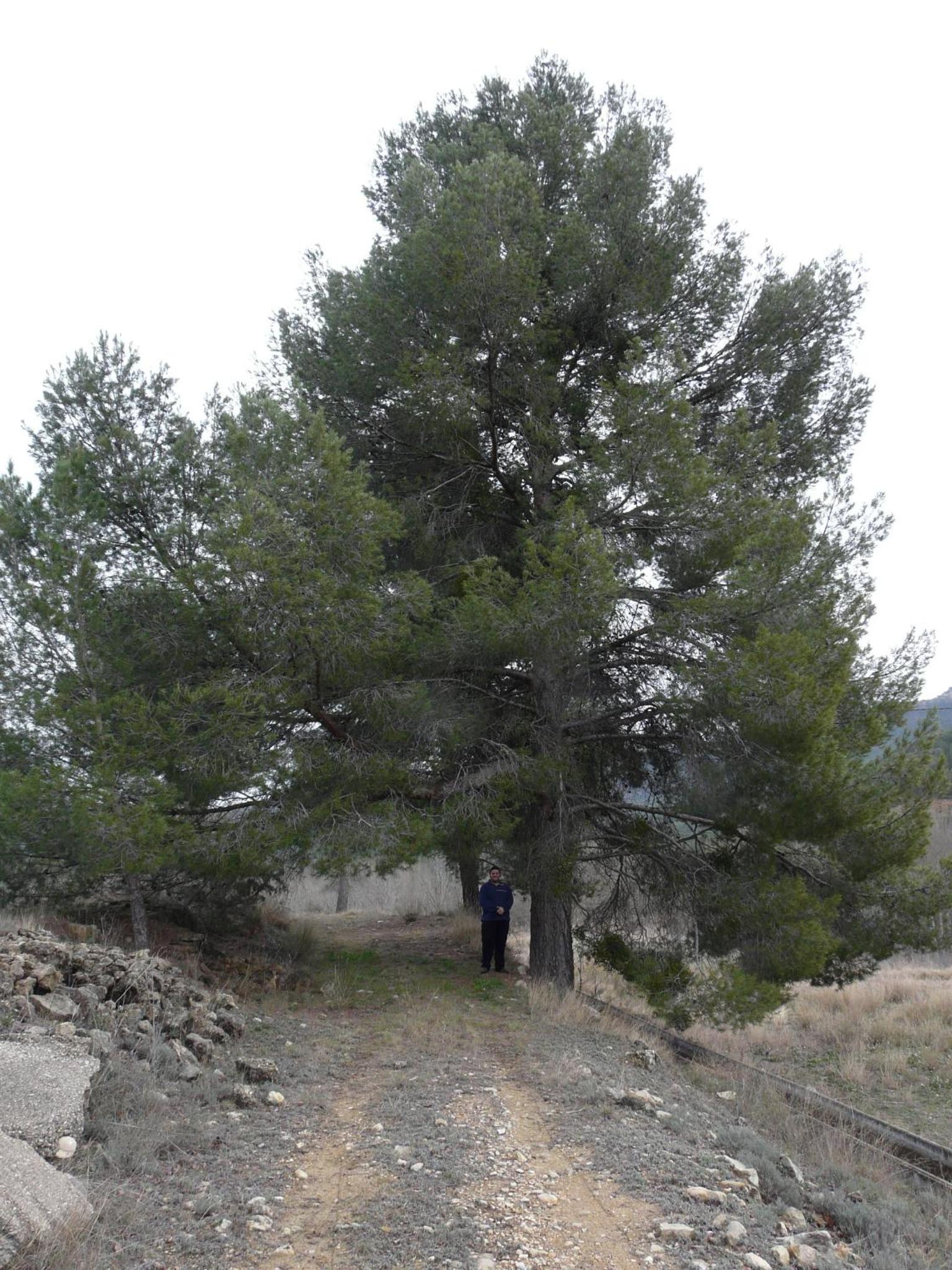 Photo 28