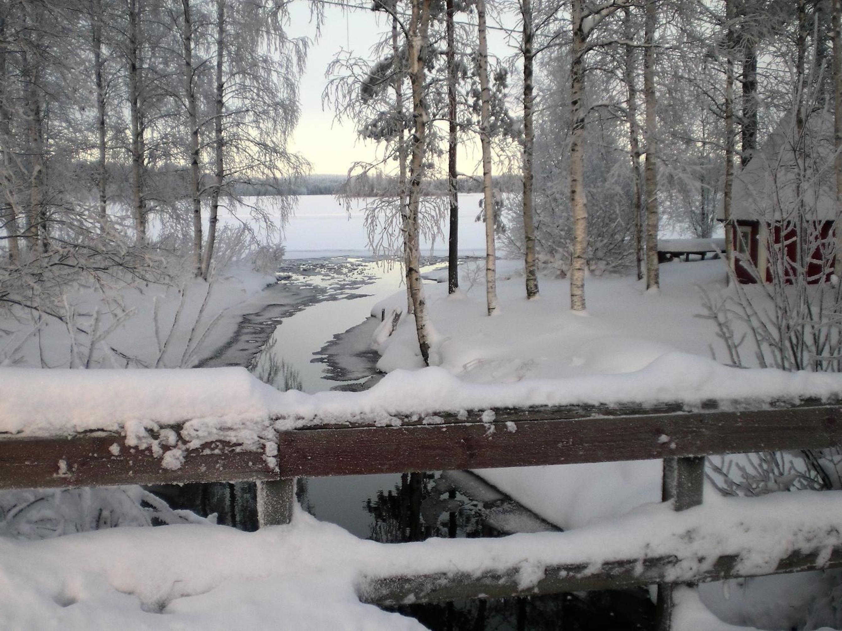 Lomakoivulehto view 4