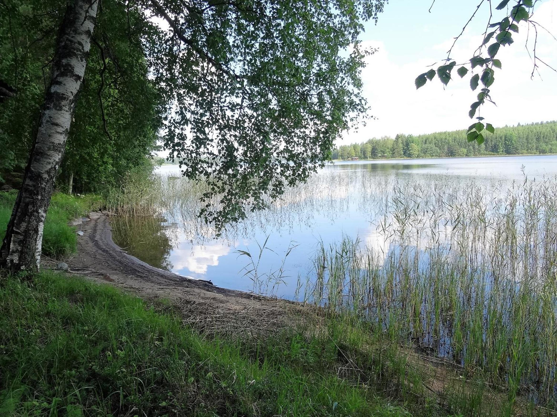 Photo 82