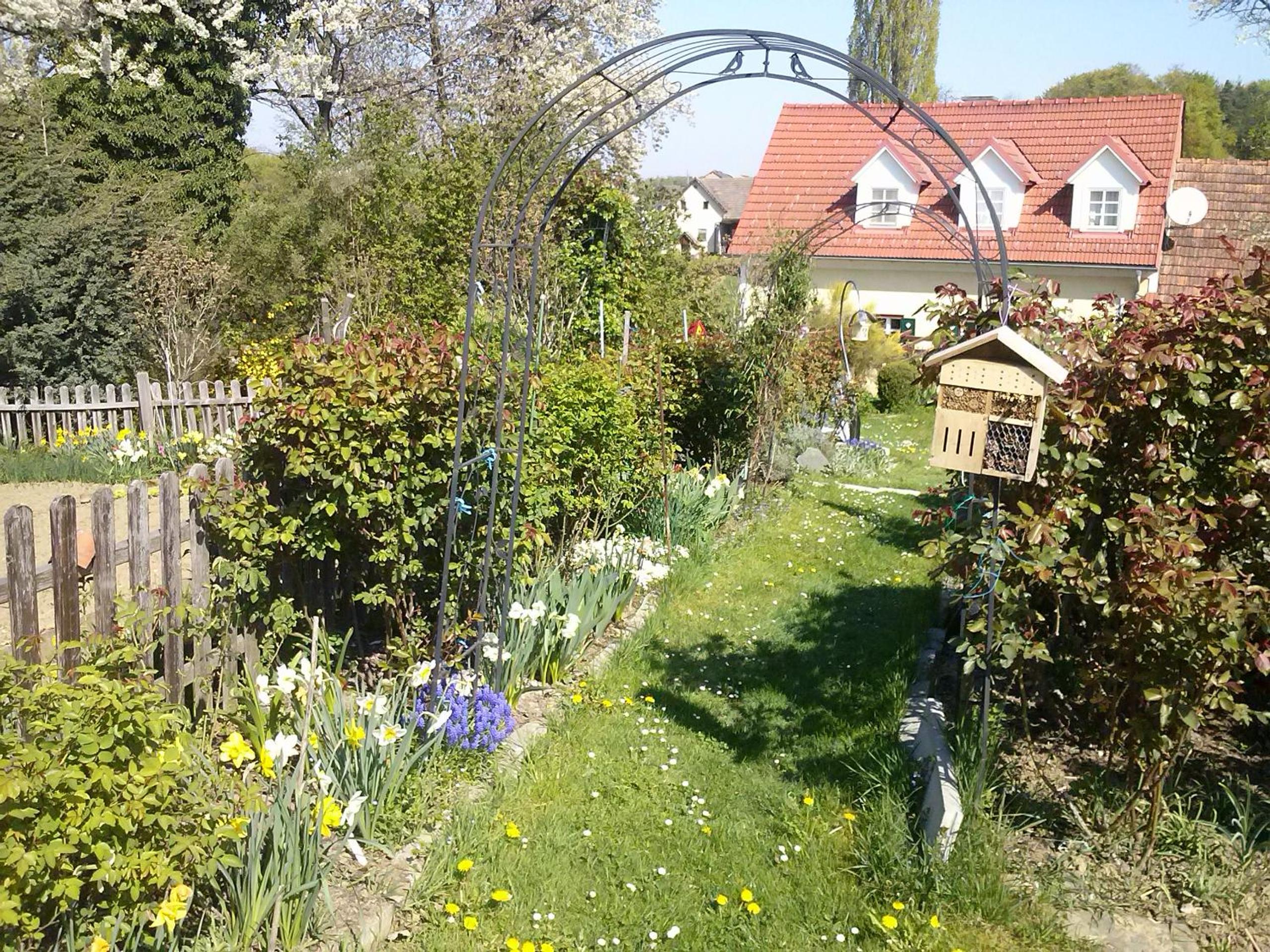 Photo 15