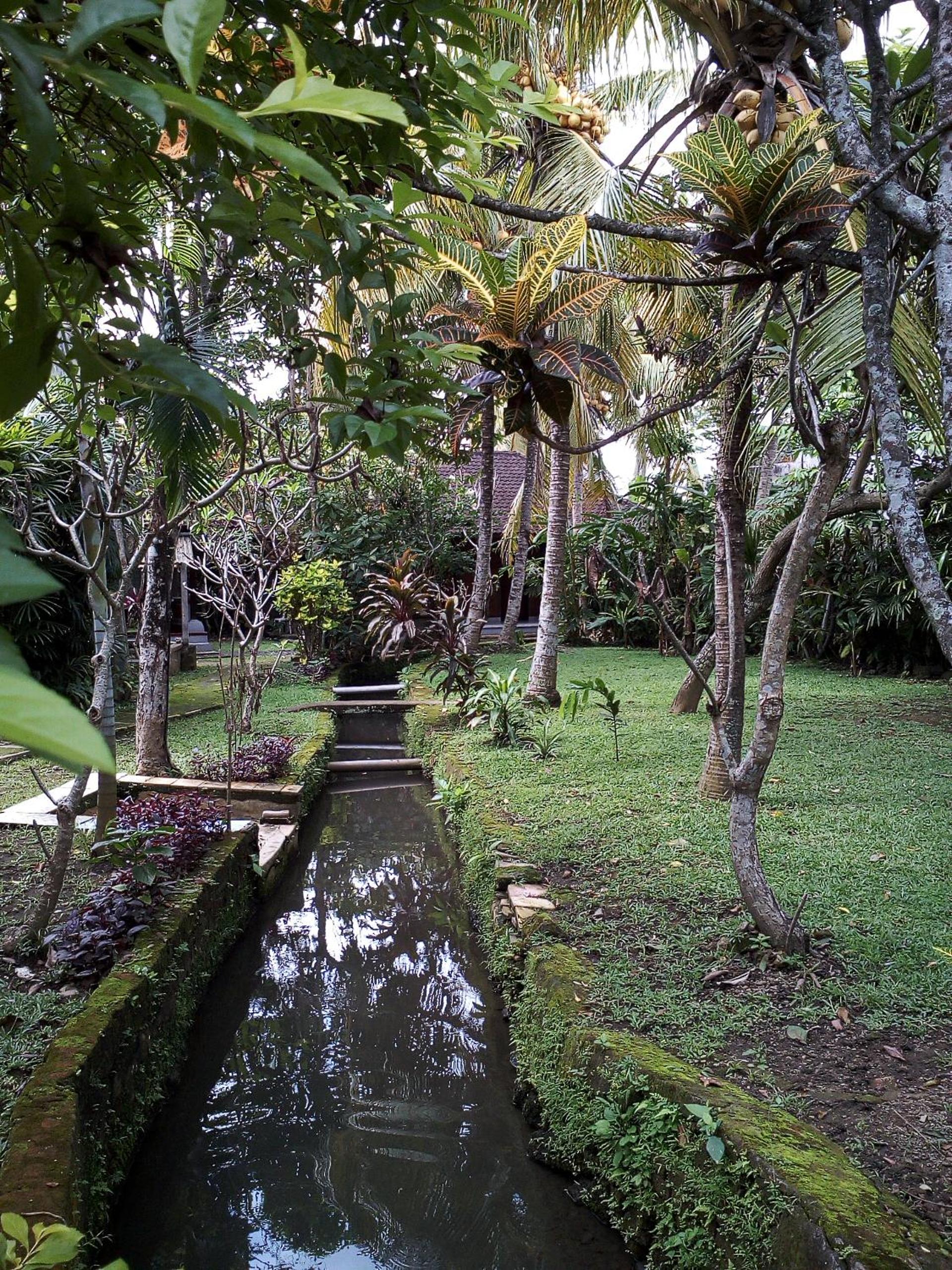 Madra Homestay view 5