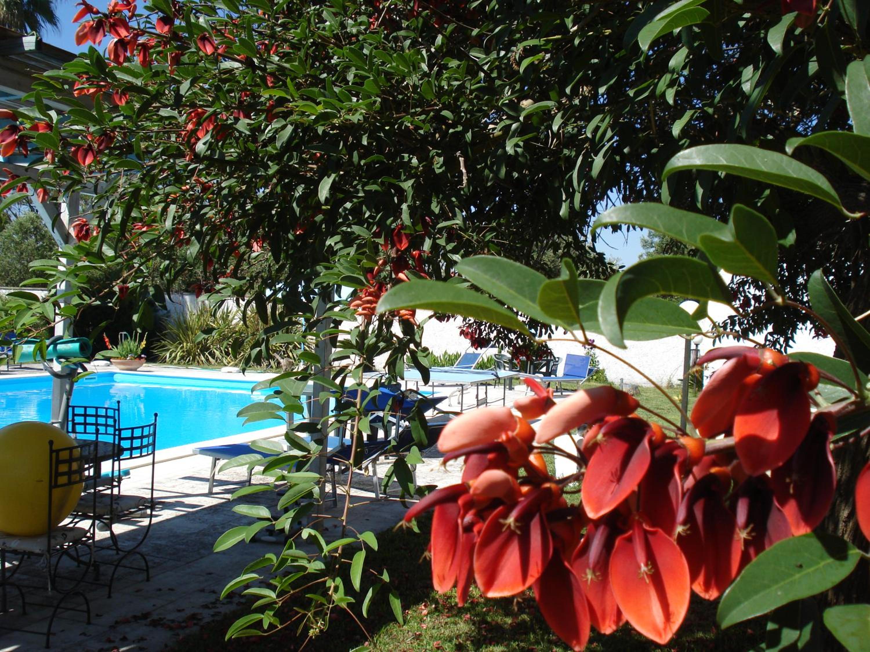 Breezes B&B photo 4