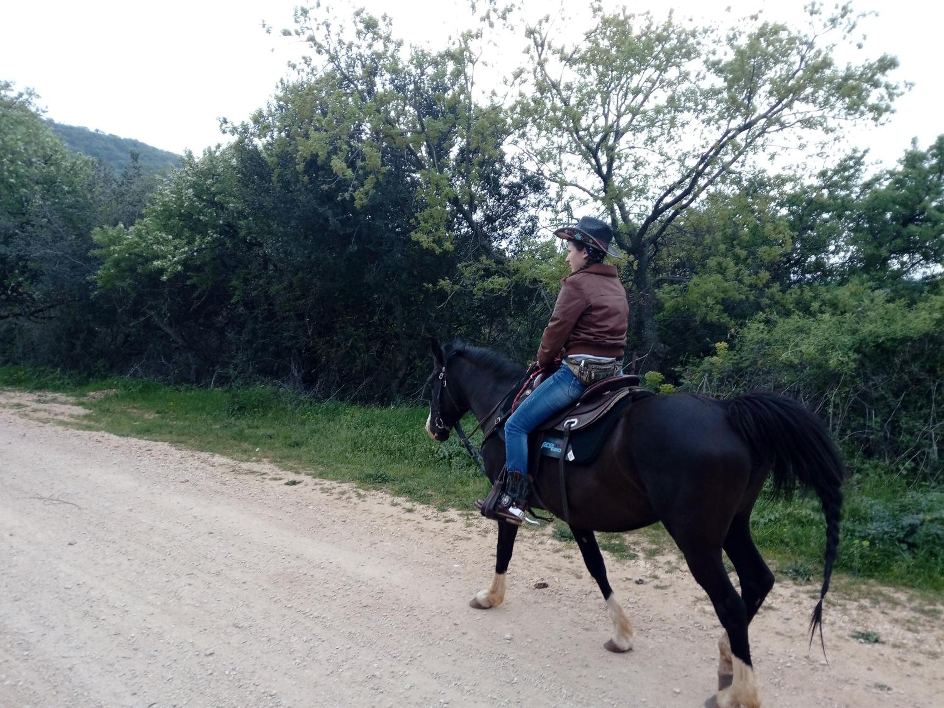 Gio Horses B&B