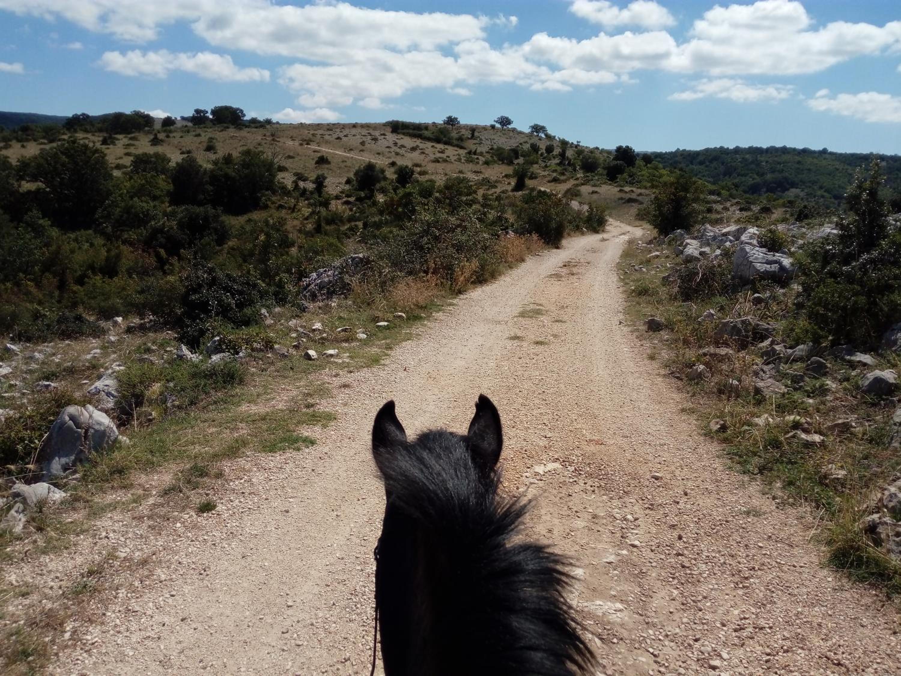 Gio Horses B&B