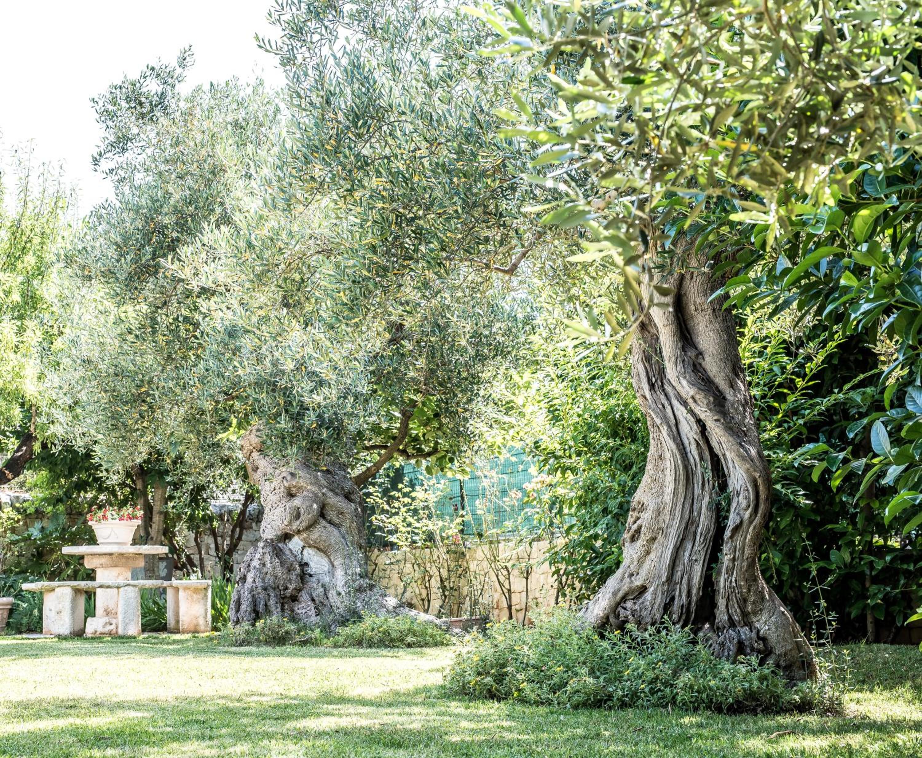Photo 30