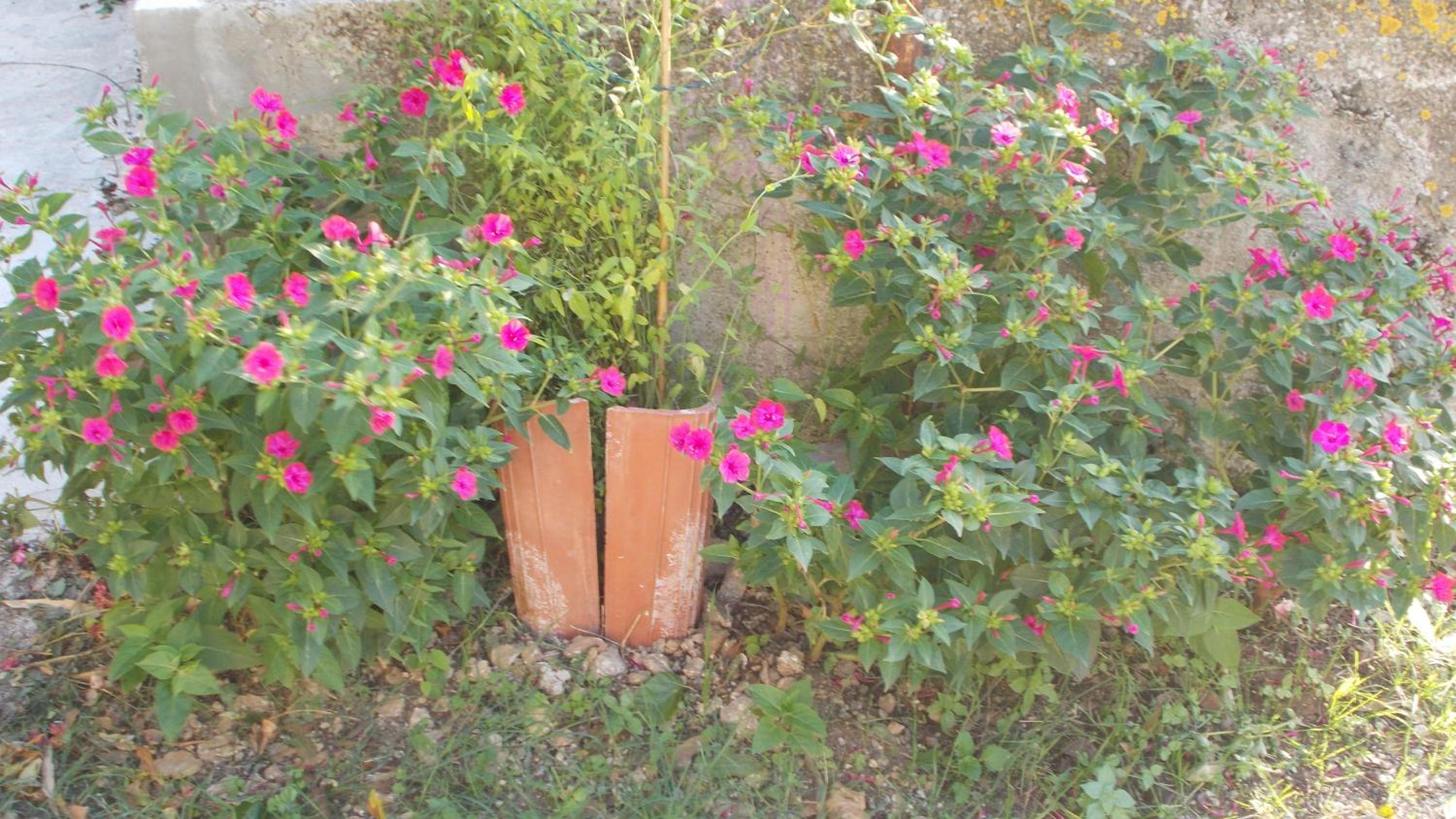 Guest House Accommodation Rupine