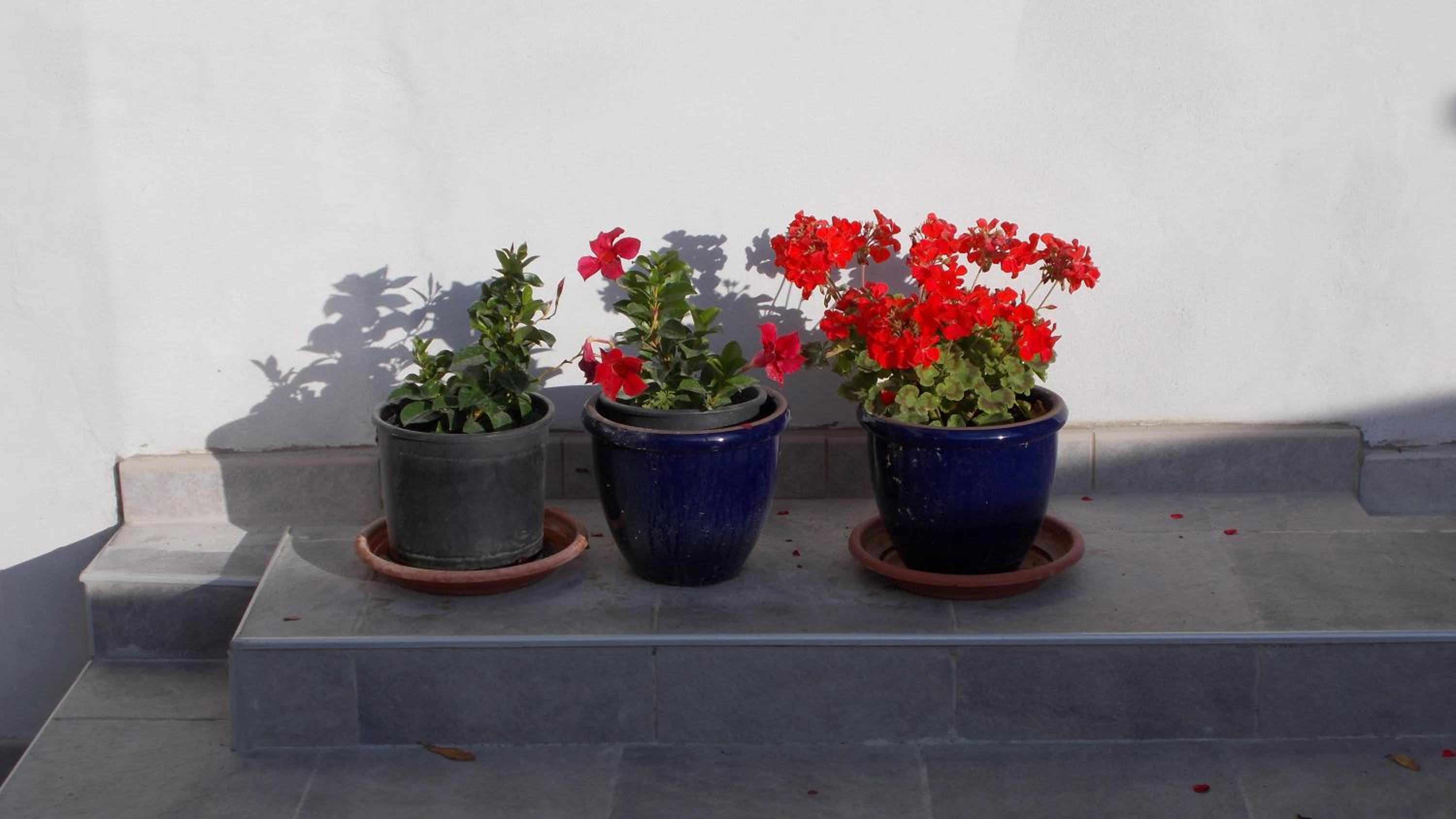 Guest House Accommodation Rupine