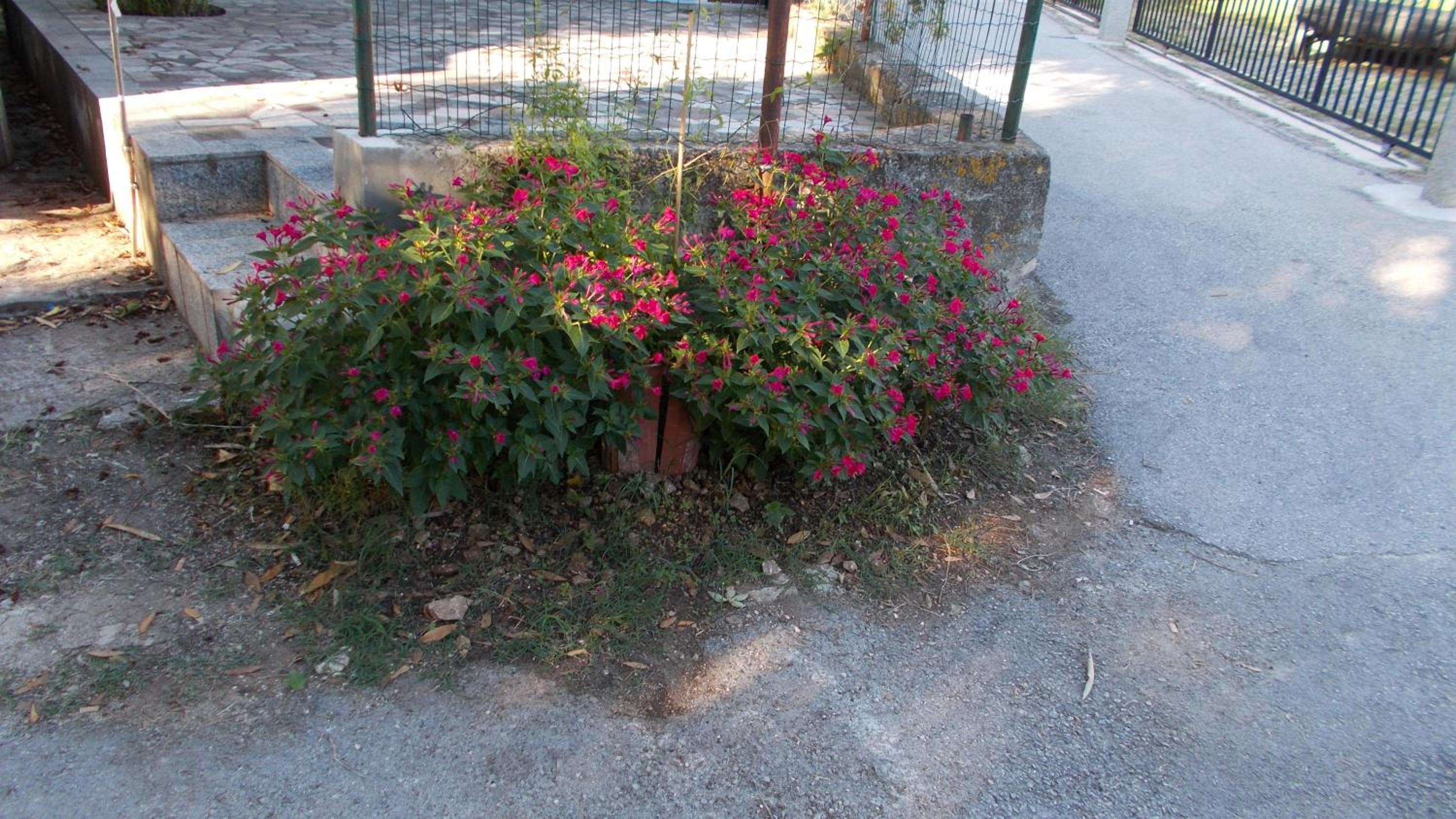 Guest House Accommodation Rupine