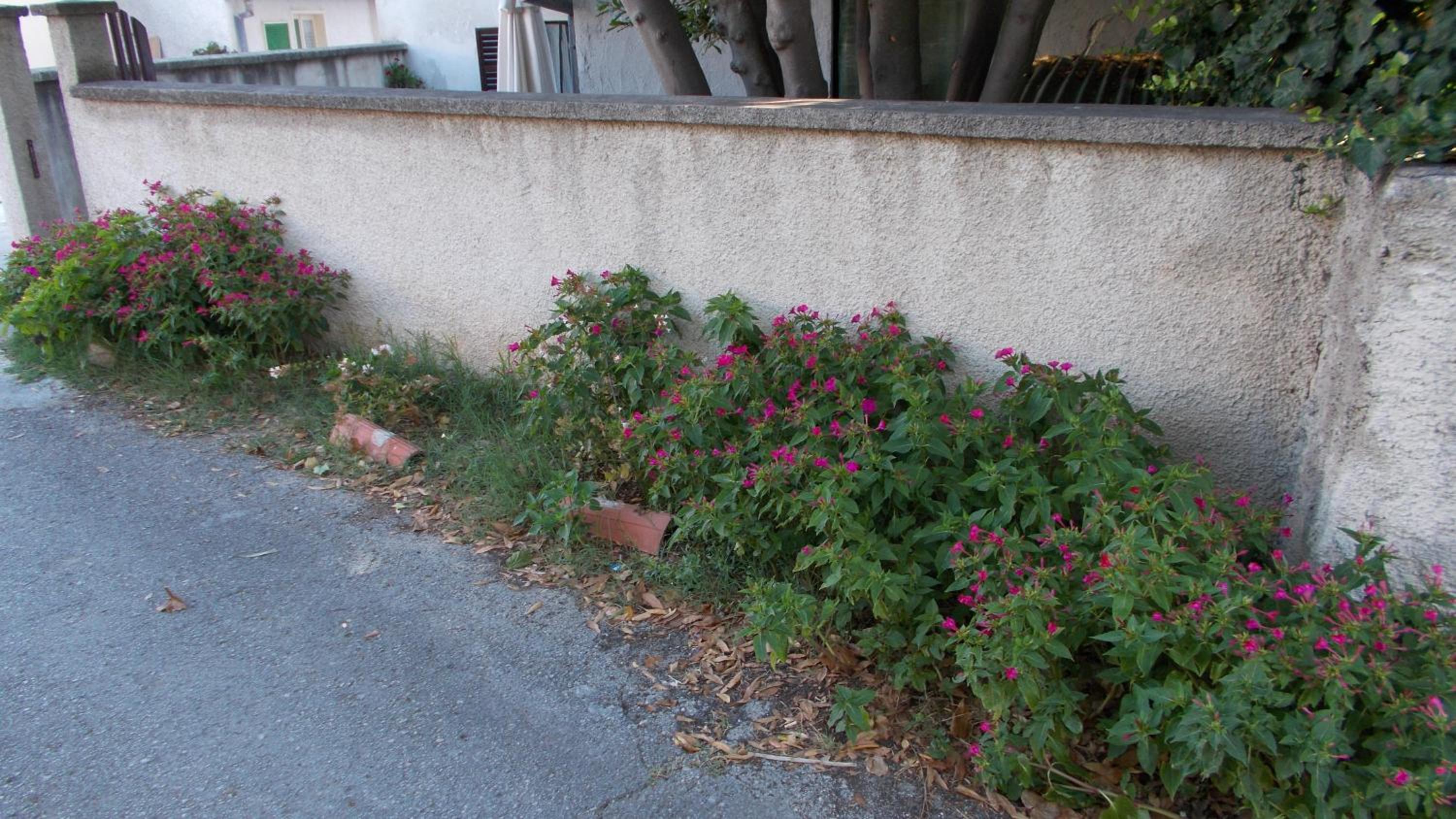 Guest House Accommodation Rupine