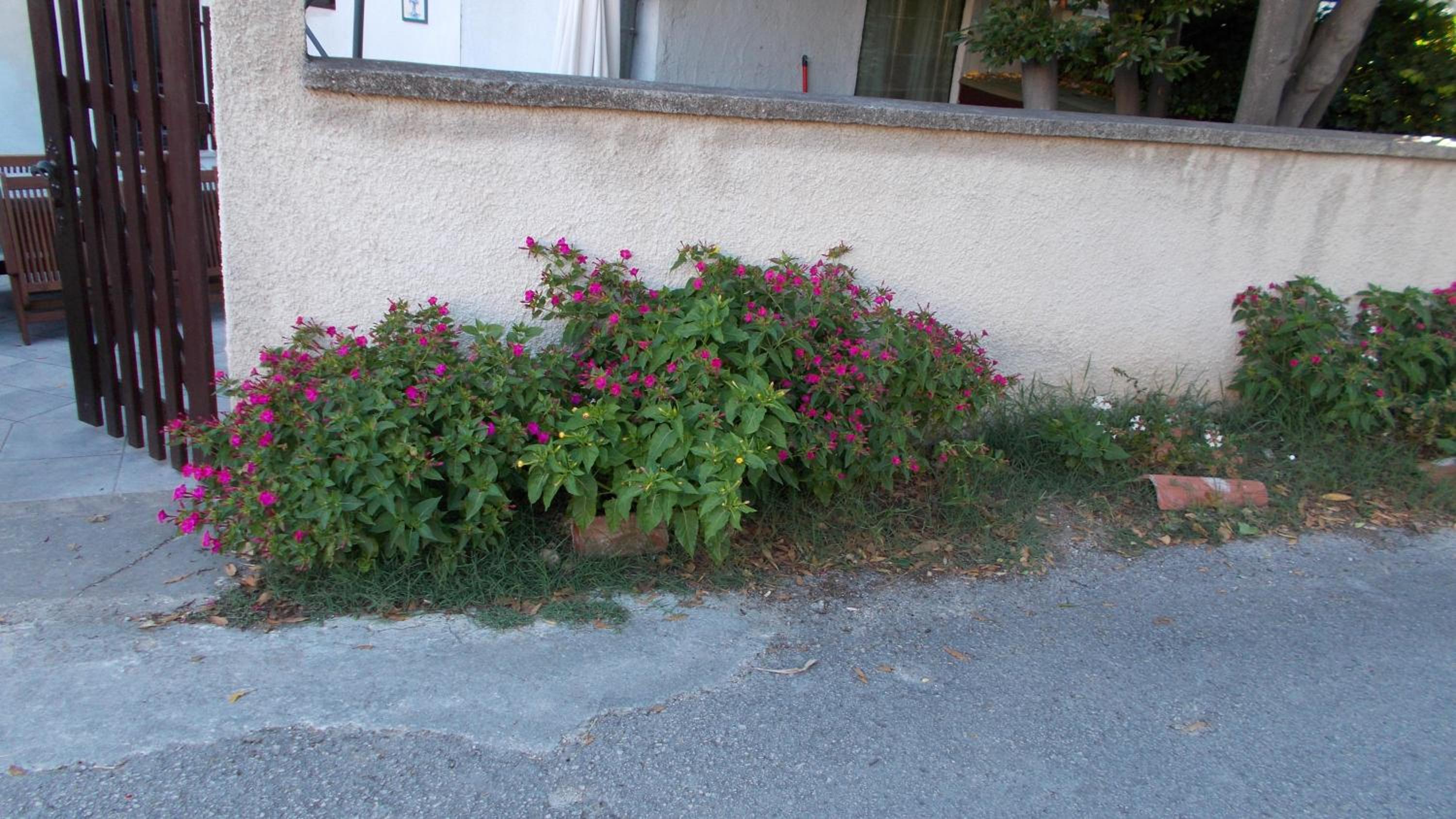 Guest House Accommodation Rupine