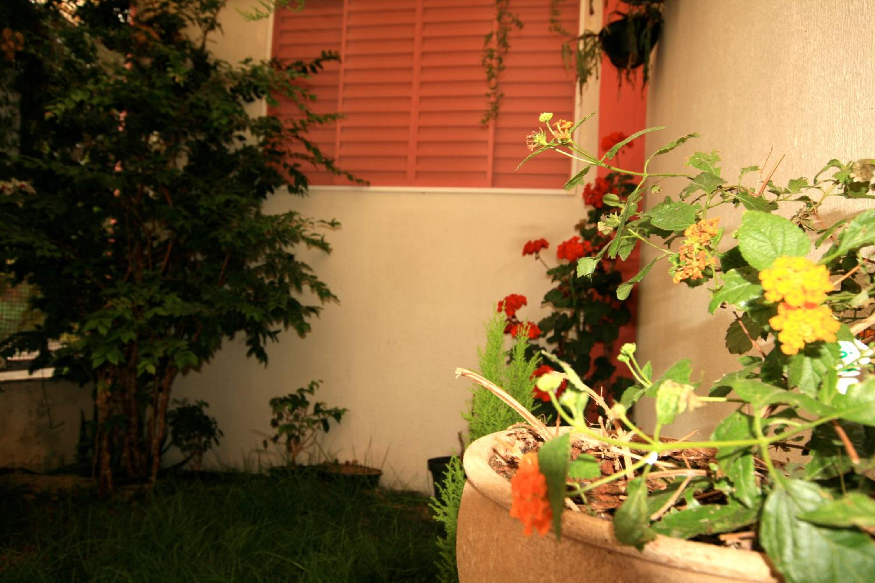 Pousada Lua Cheia, photo 38