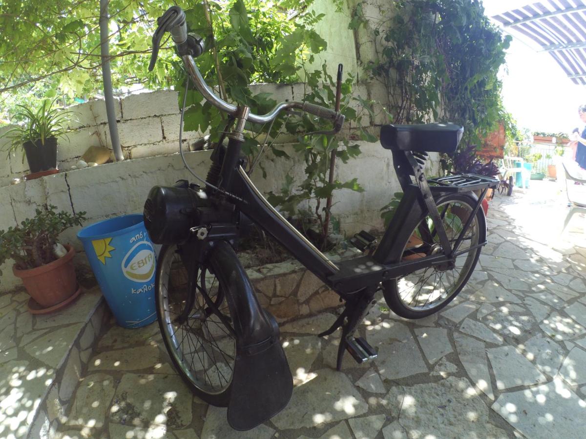 Photo 43