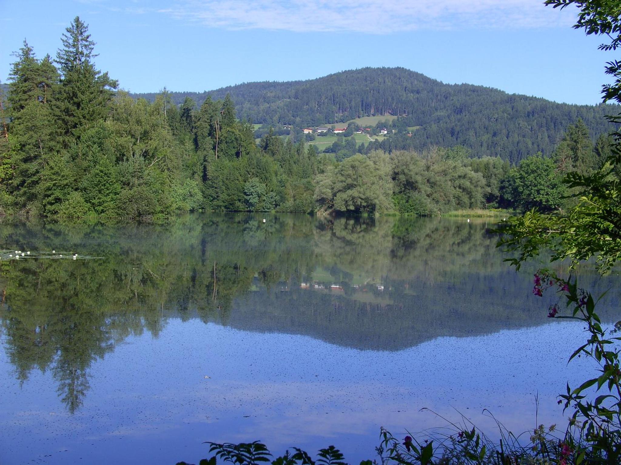 Wabnig- der Logenplatz in der Natur