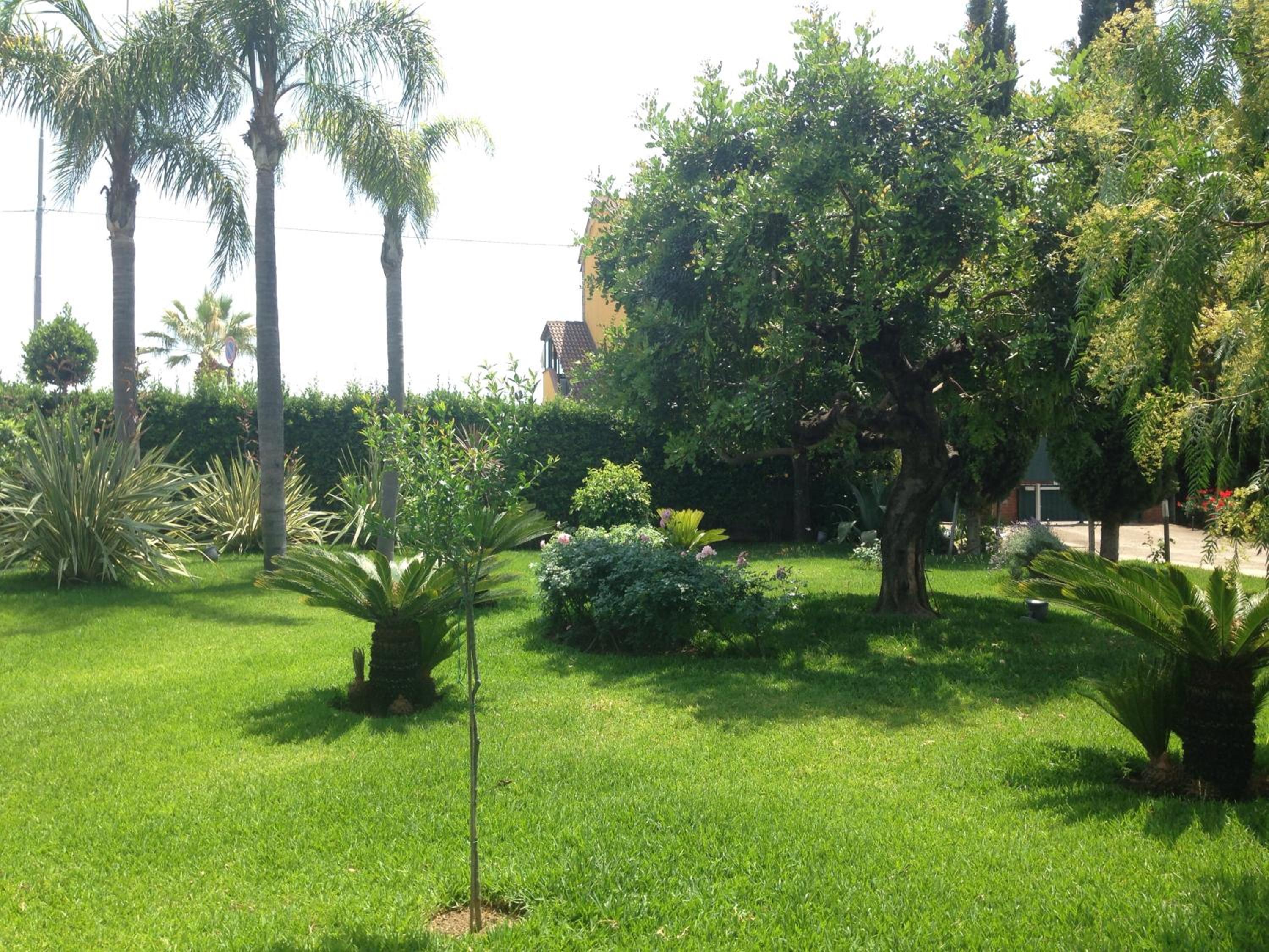 Photo 37