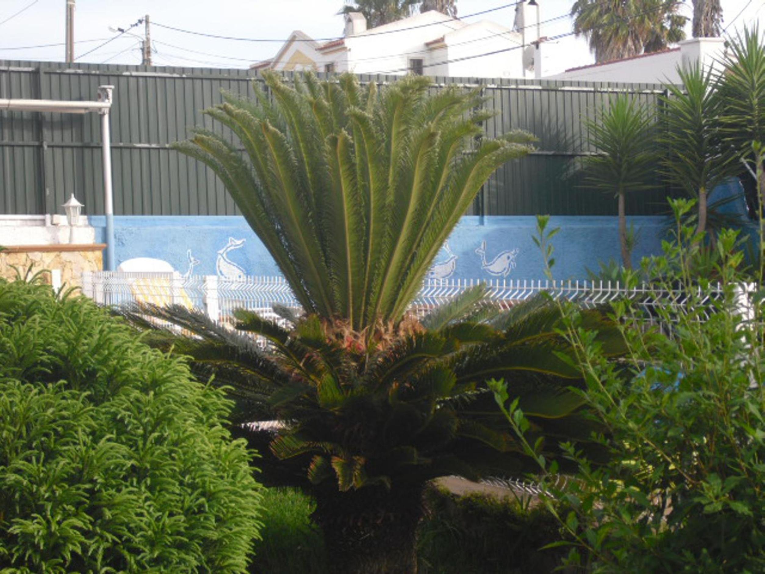 Casa Teresinha