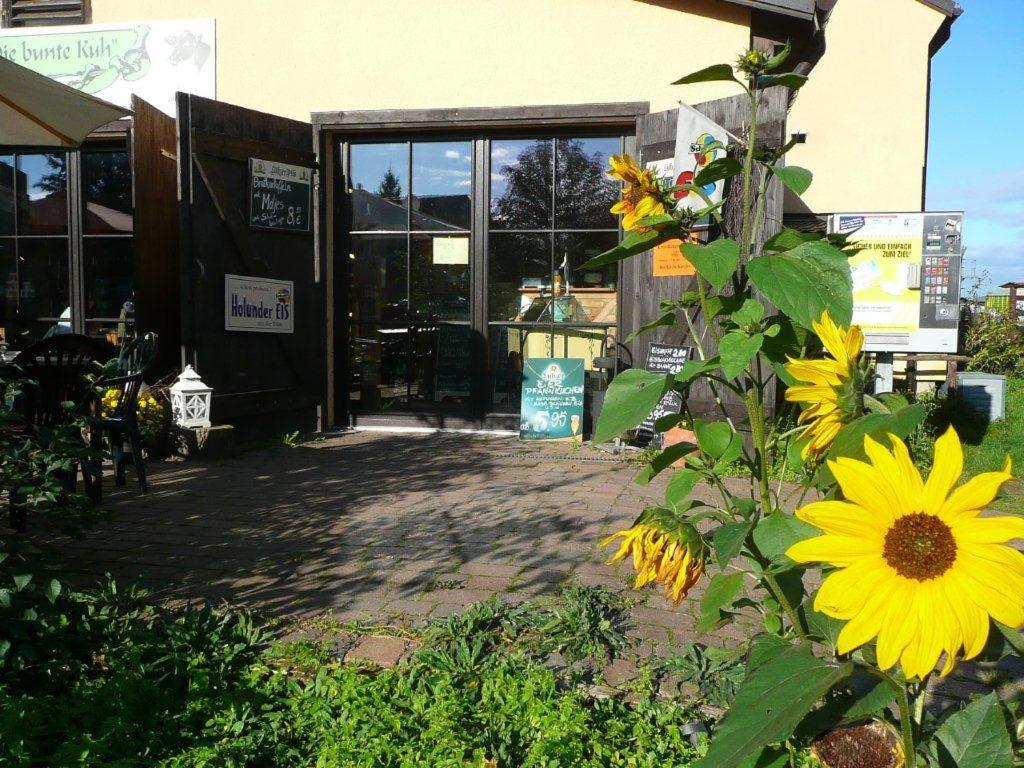 Die bunte Kuh in Federow