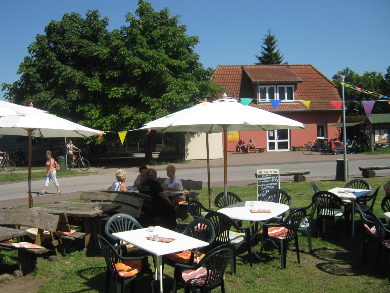 Die bunte Kuh in Federow